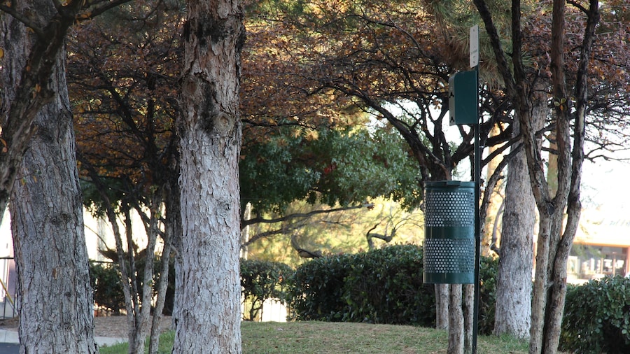 Suburban Studios Albuquerque Uptown