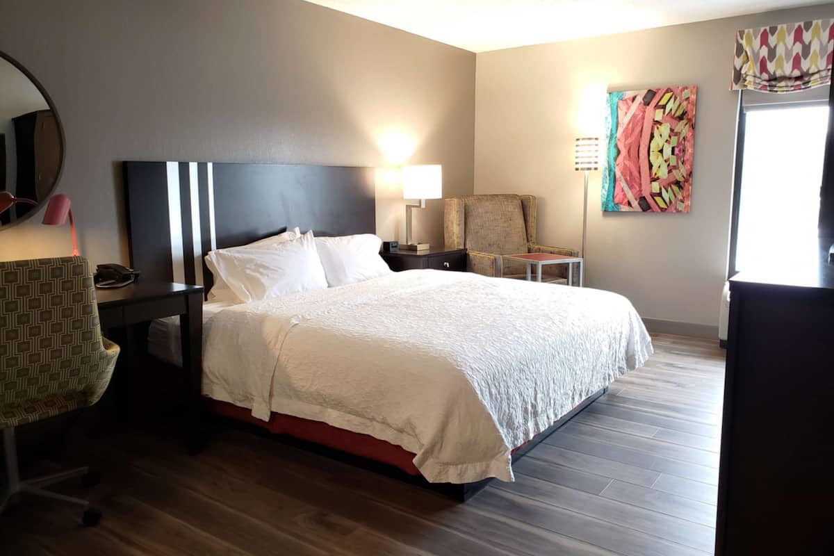 room, 1 king bed, accessible (roll-in shower) | iron/ironing board, free cots/infant beds, free rollaway beds, free wifi