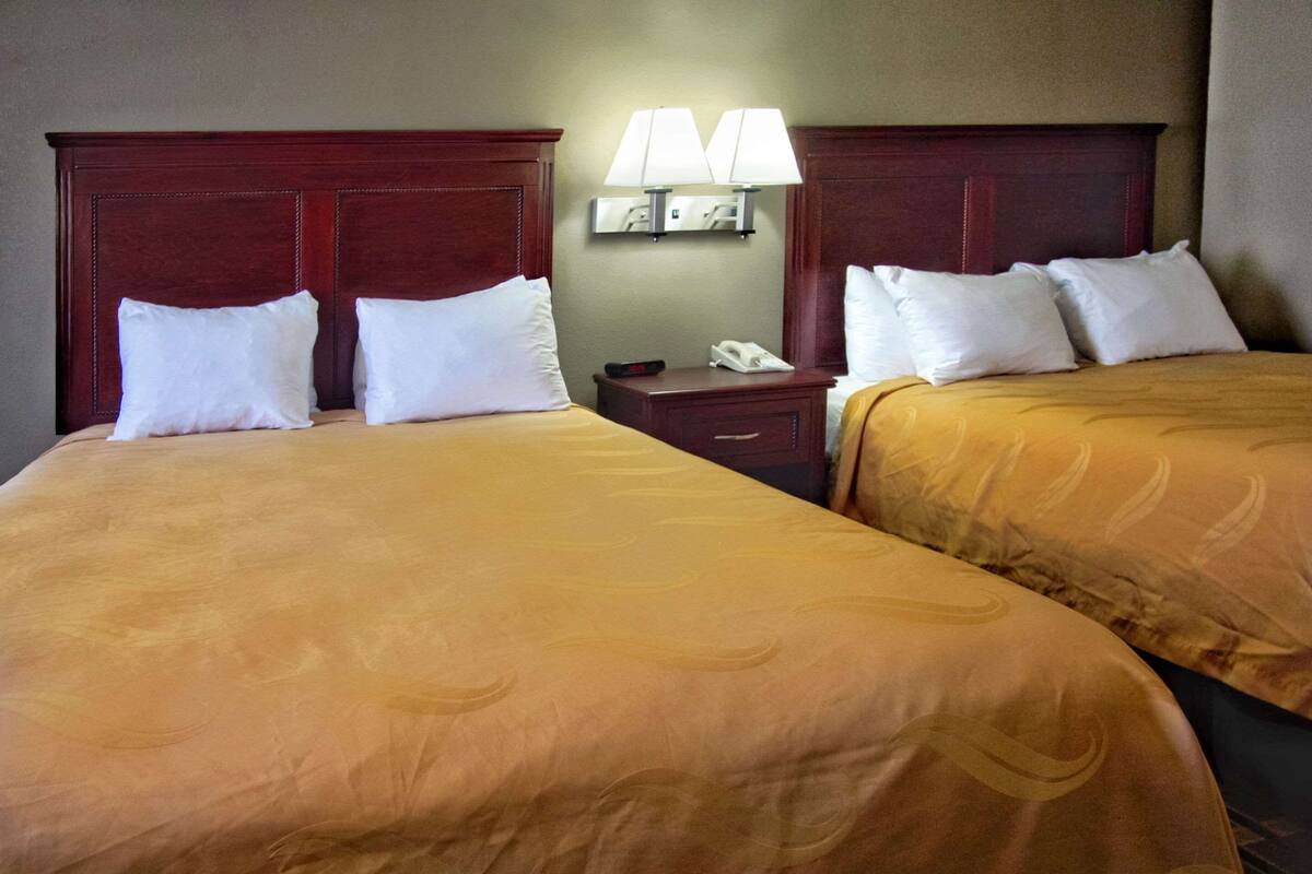 A hotel room with two beds, each with white pillows and a brown bedspread. There is a nightstand with a lamp and a telephone.