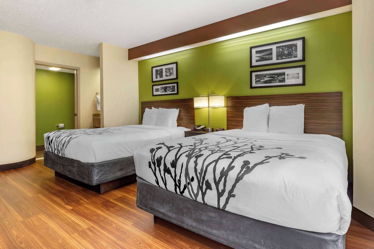 Ein Hotelzimmer mit zwei Betten, einer grünen Akzentwand, gerahmten Bildern, einem Nachttisch und einer Lampe.