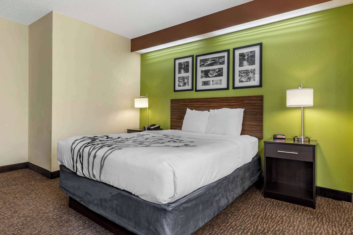 Ein Hotelzimmer mit einem großen Bett, grünen Wänden und gerahmten Bildern an der Wand.