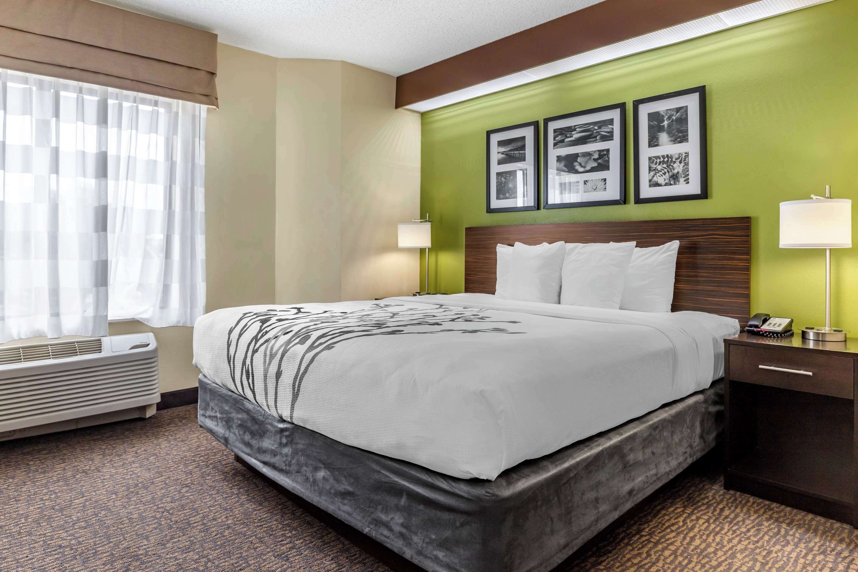 A hotel room with a bed, bedside lamps, a telephone, and framed pictures on the wall.