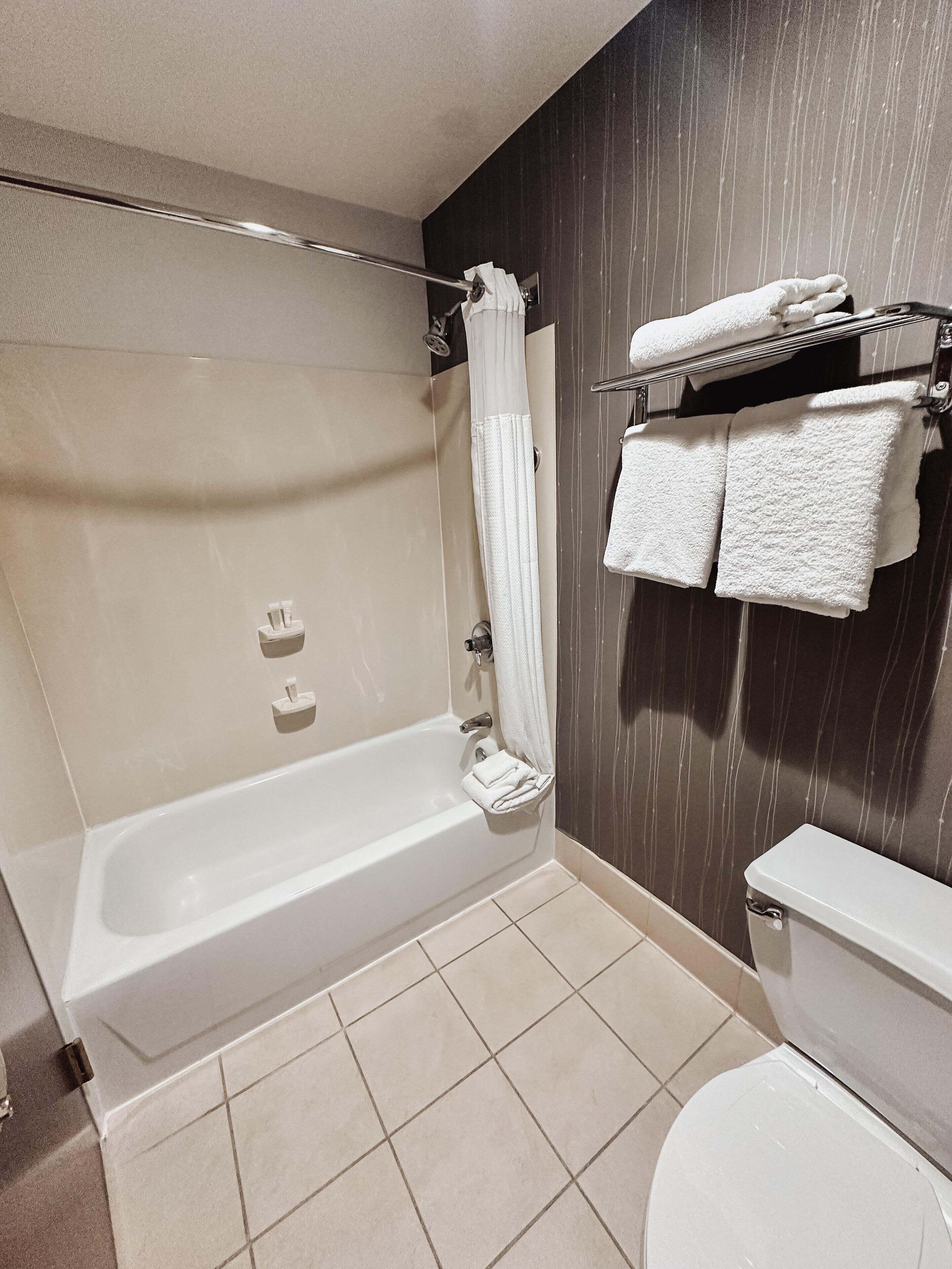 combined shower/bathtub, free toiletries, hair dryer, towels