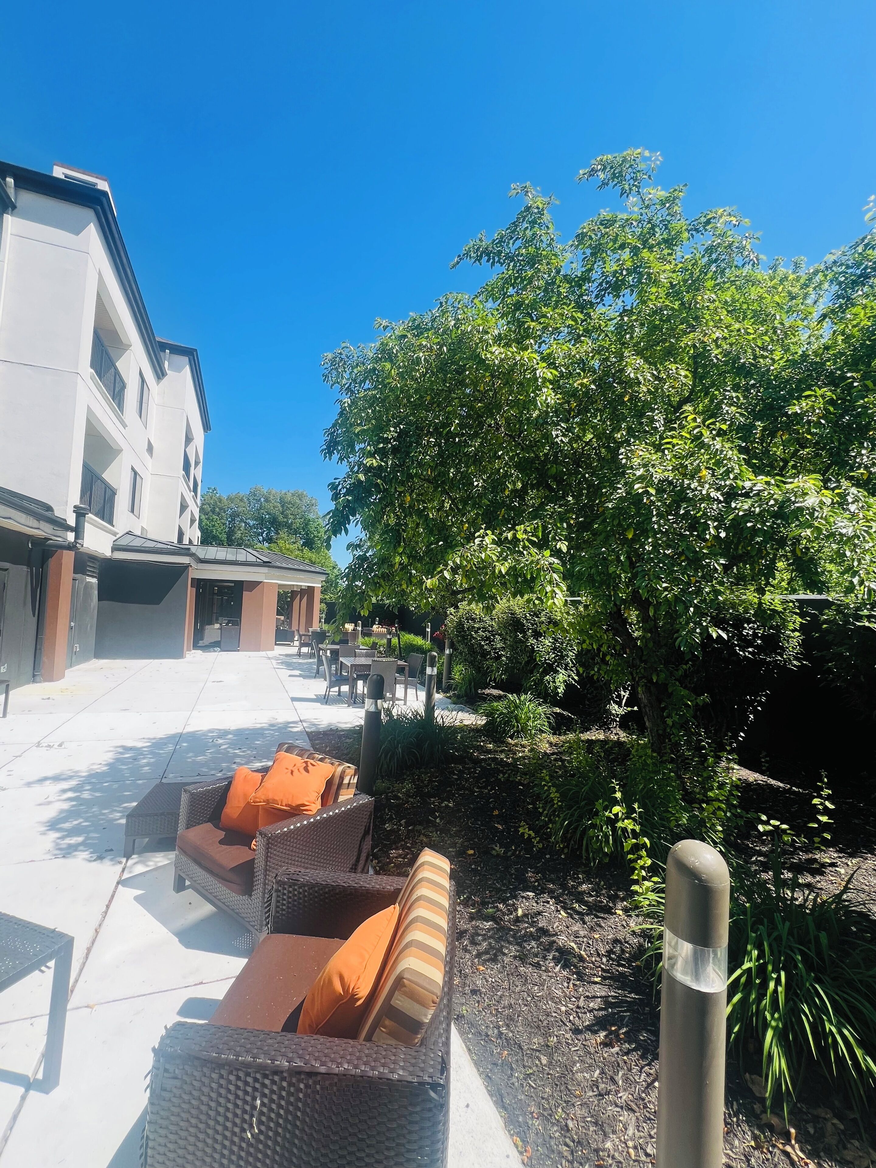 A courtyard with outdoor seating, a building with balconies, and a large tree providing shade.