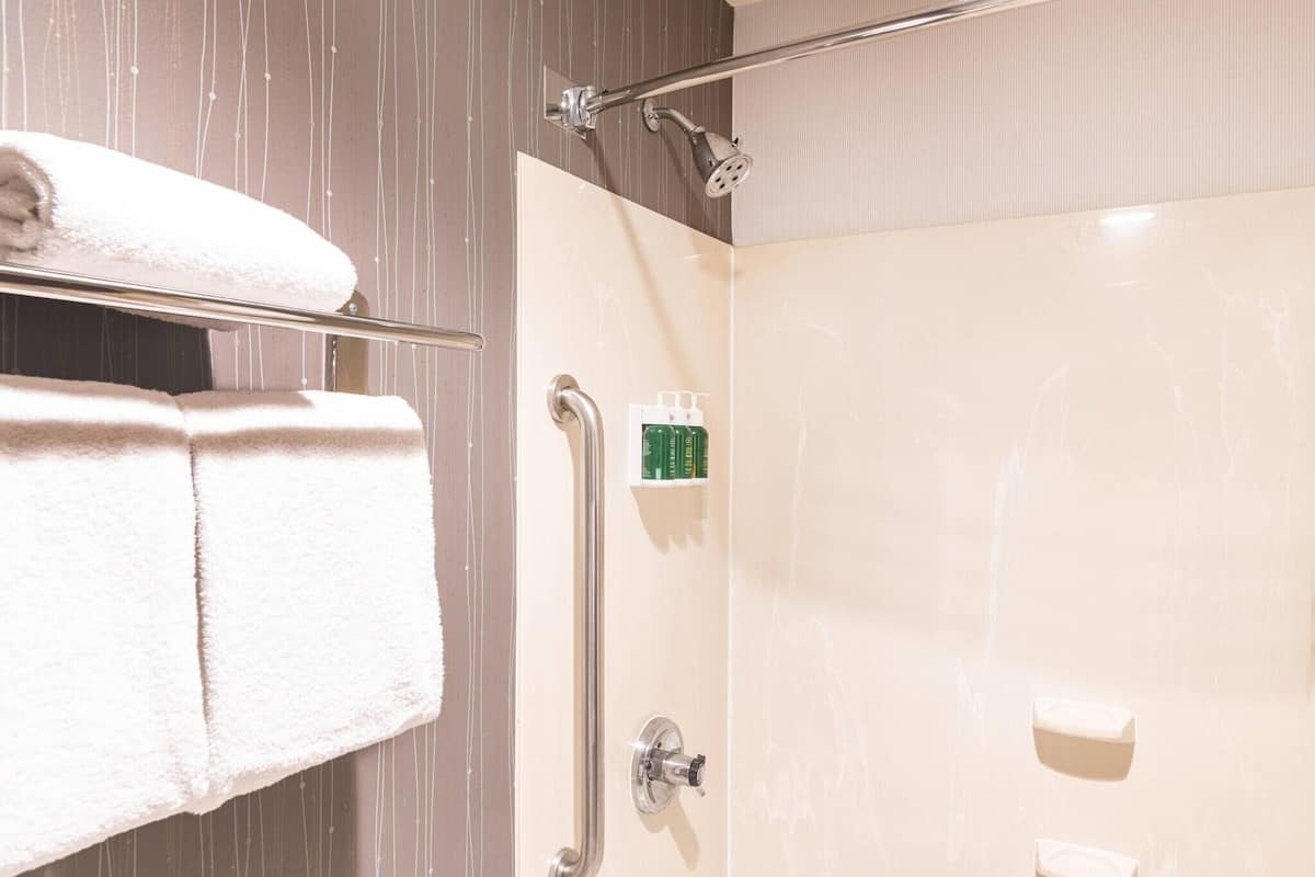 Bathroom | Combined shower/tub, free toiletries, hair dryer, towels