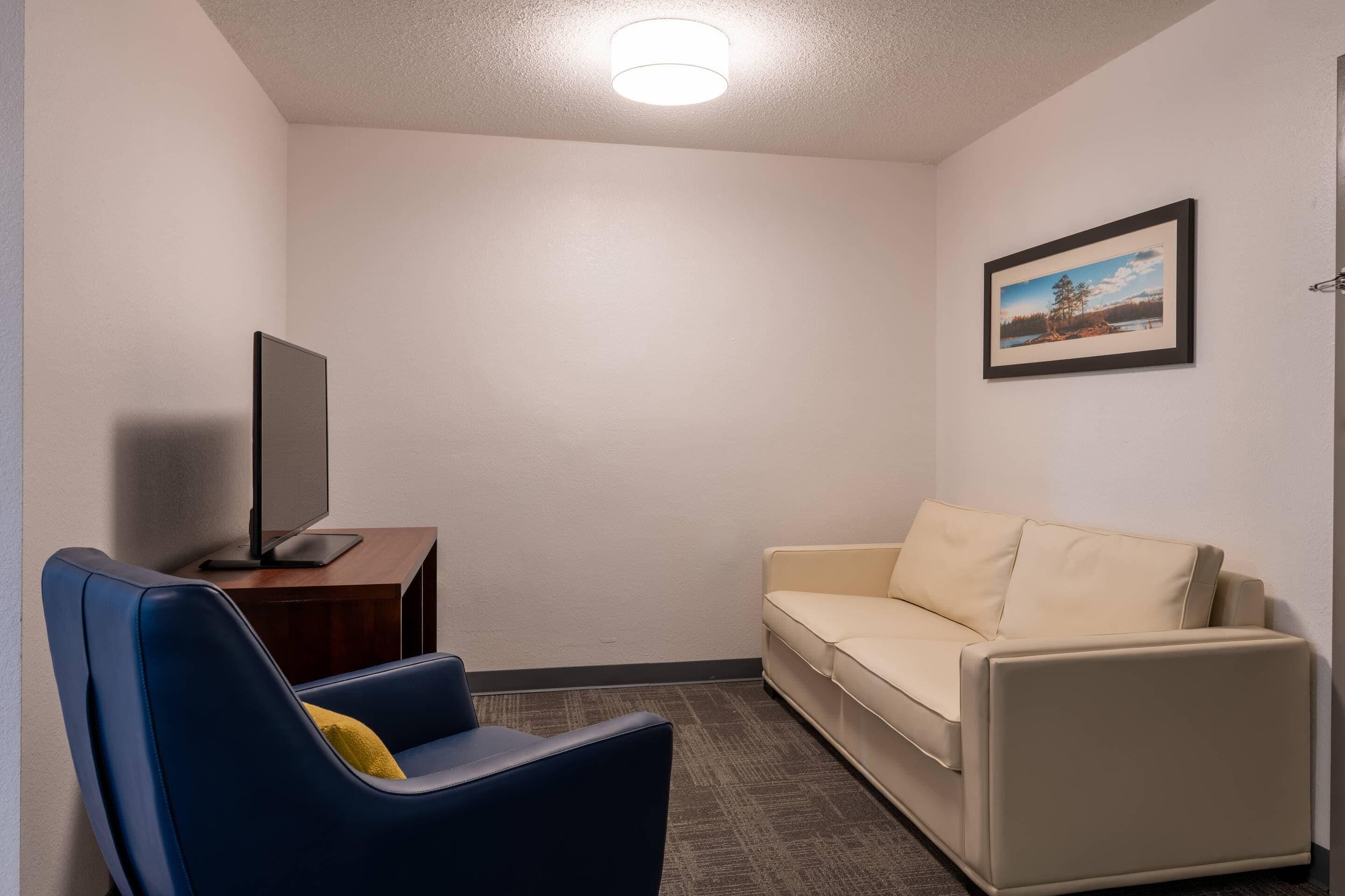 A room with a beige sofa, a blue armchair, a flat-screen TV on a wooden stand, and a framed picture on the wall.