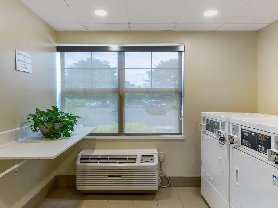 Un cuarto de lavado con ventana, una planta, un equipo de aire acondicionado y lavadoras apiladas.