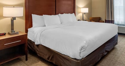 Comfort Inn Danvers - Boston North Shore