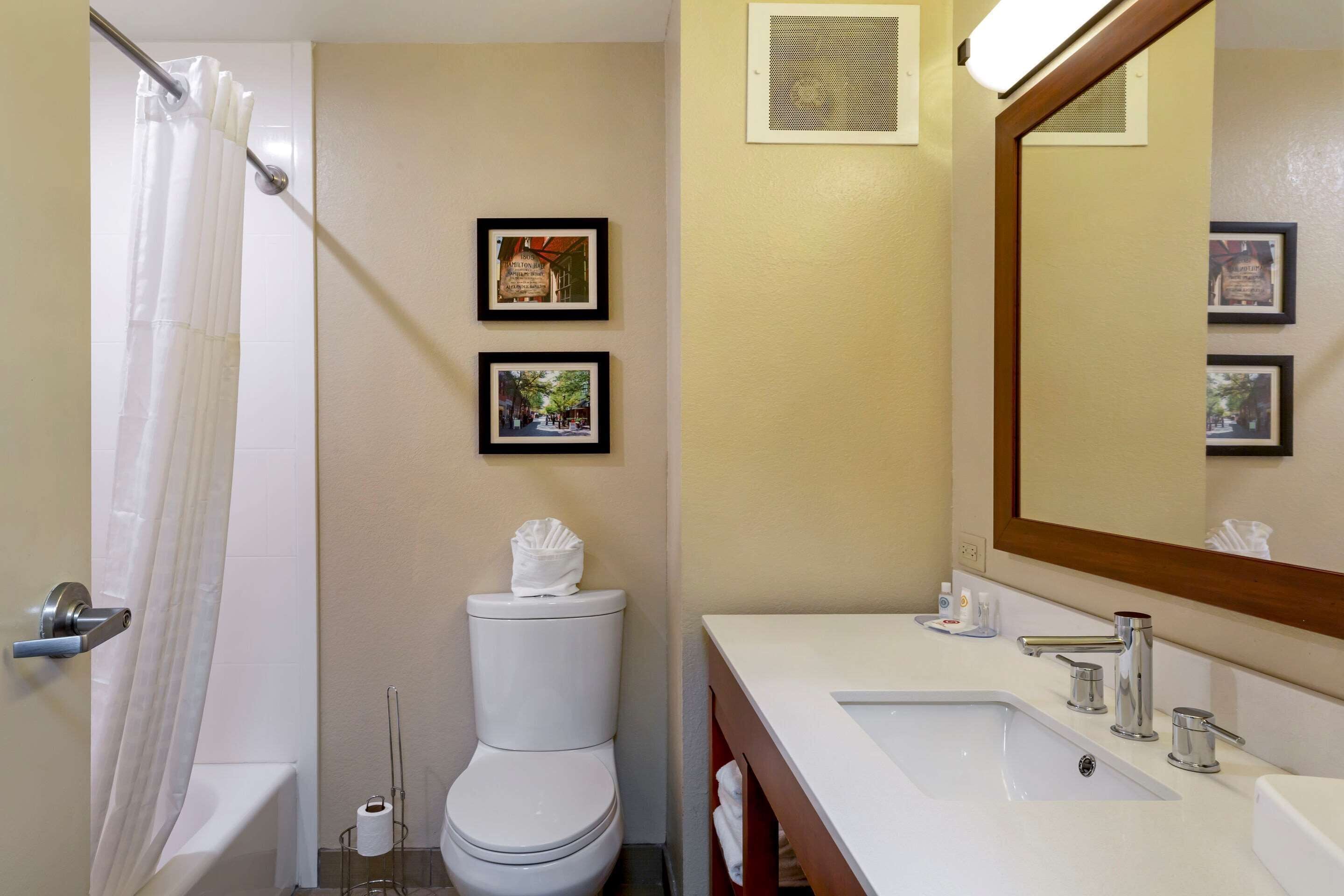 combined shower/bathtub, free toiletries, hair dryer, towels