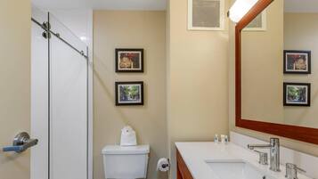 A bathroom with a glass shower enclosure, a toilet, a sink with a mirror, and framed pictures on the wall.