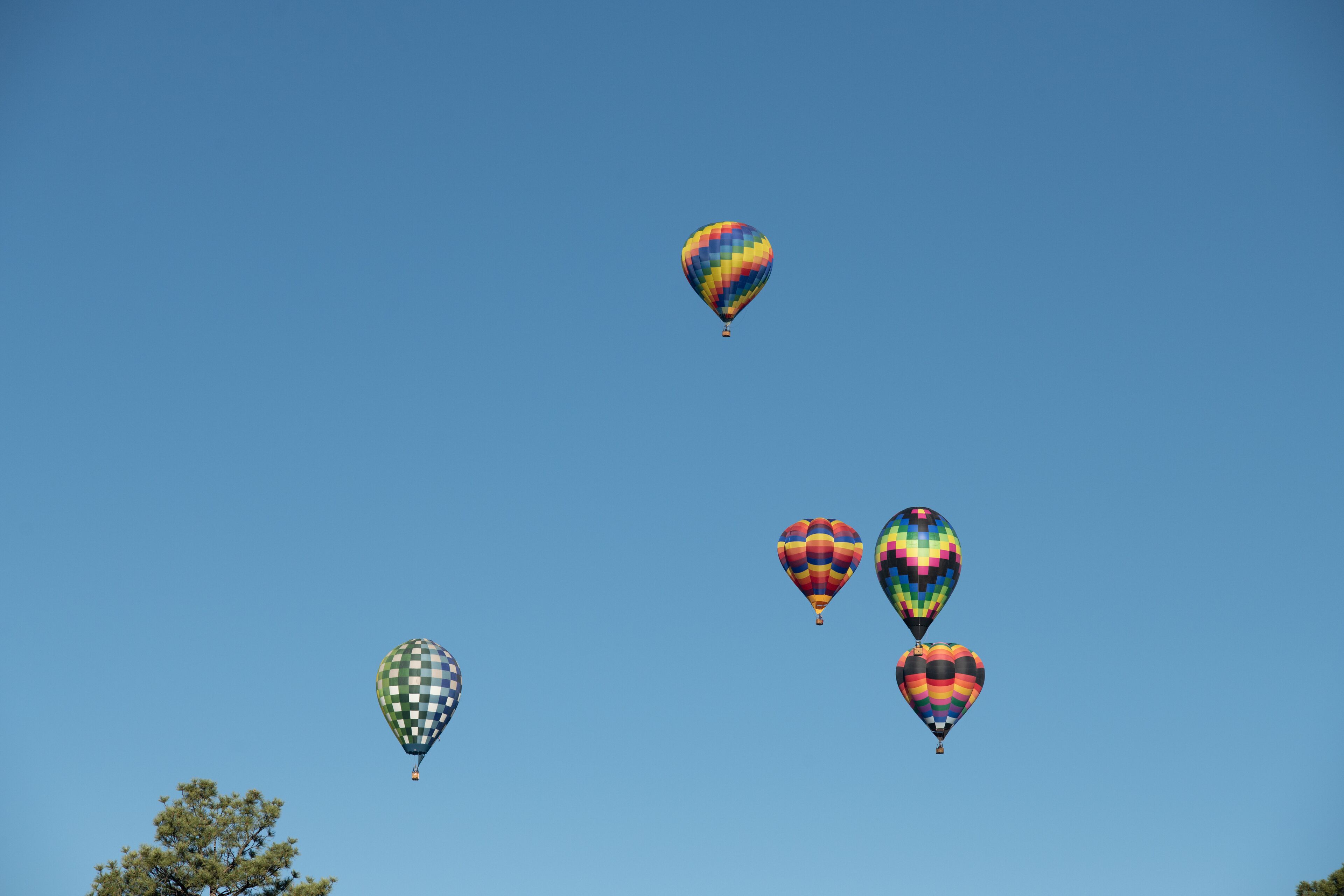 Cinco globos aerostáticos en el cielo.
