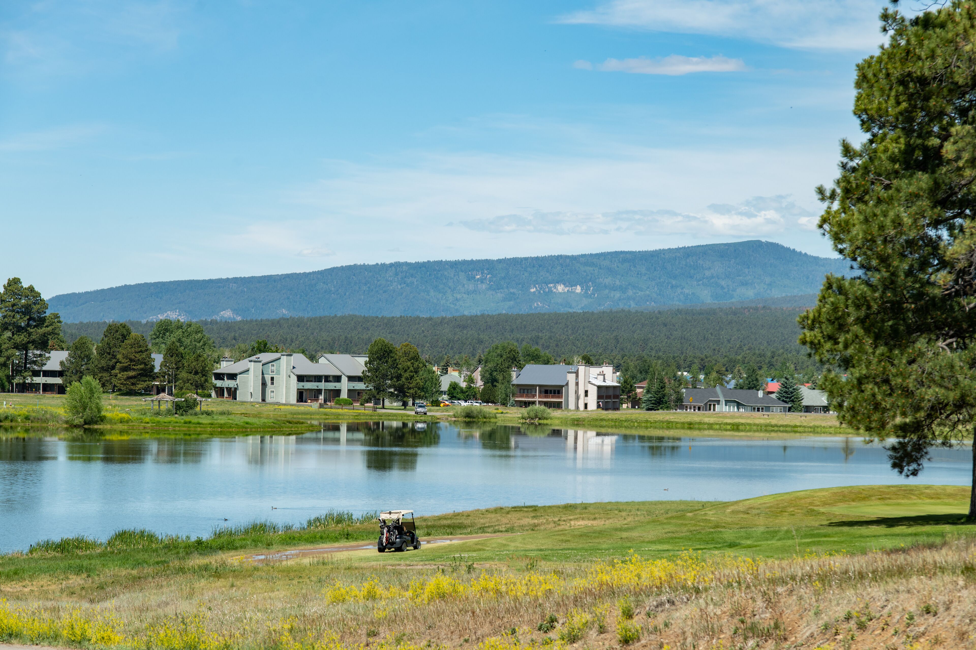 A lakeside view with buildings, a golf cart, and a mountain in the background.