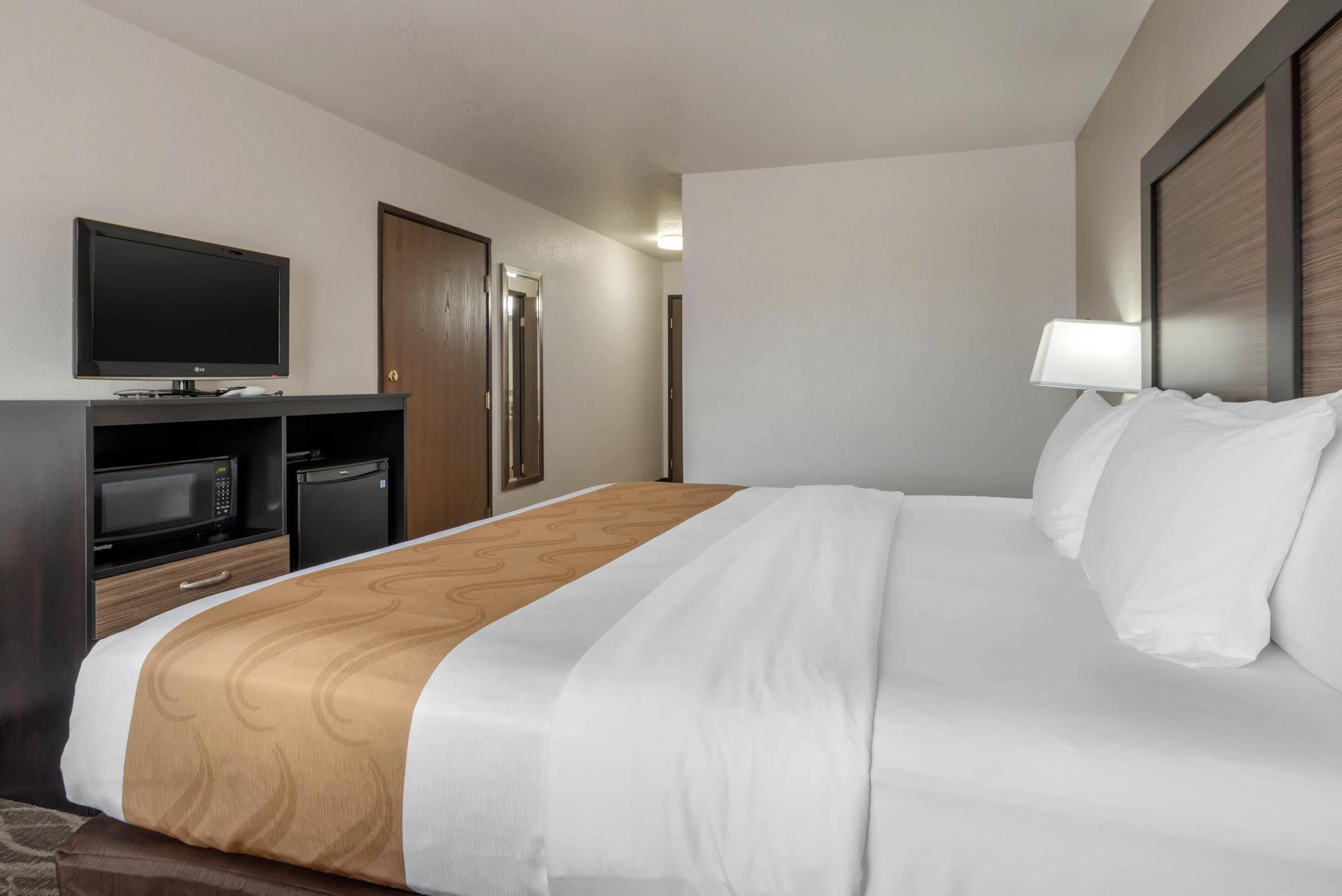 A hotel room with a bed, a television, a microwave, a refrigerator, and a door.