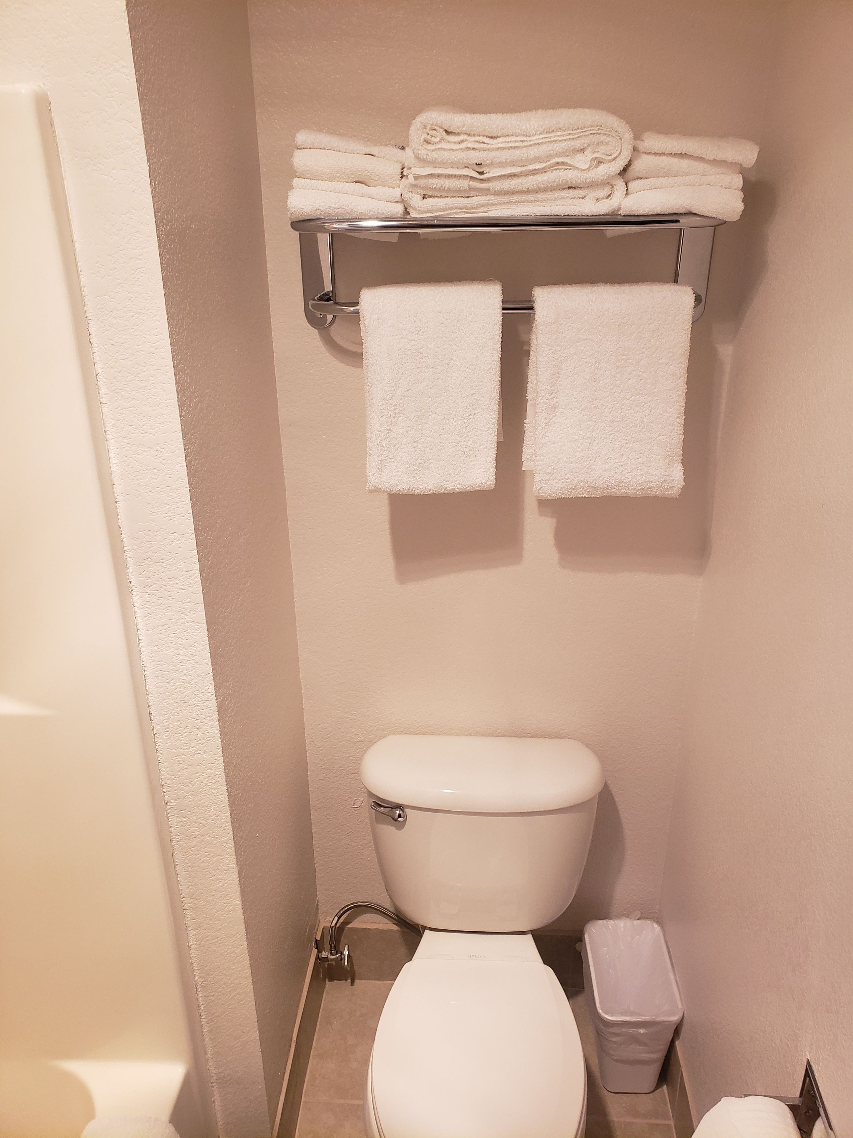 Casa de banho com sanita, um contentor de lixo e um porta-toalhas com toalhas dobradas.