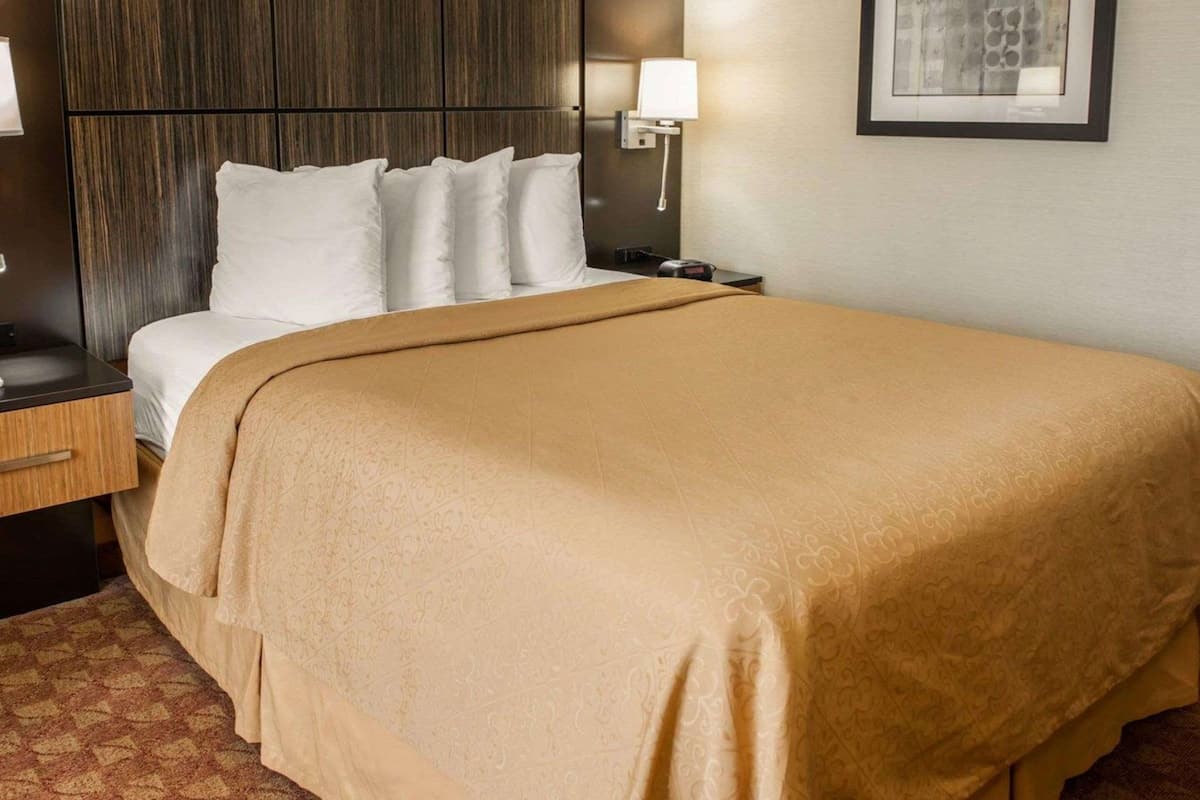 Quarto de hotel com cama, mesa de cabeceira, luminária e um quadro na parede.