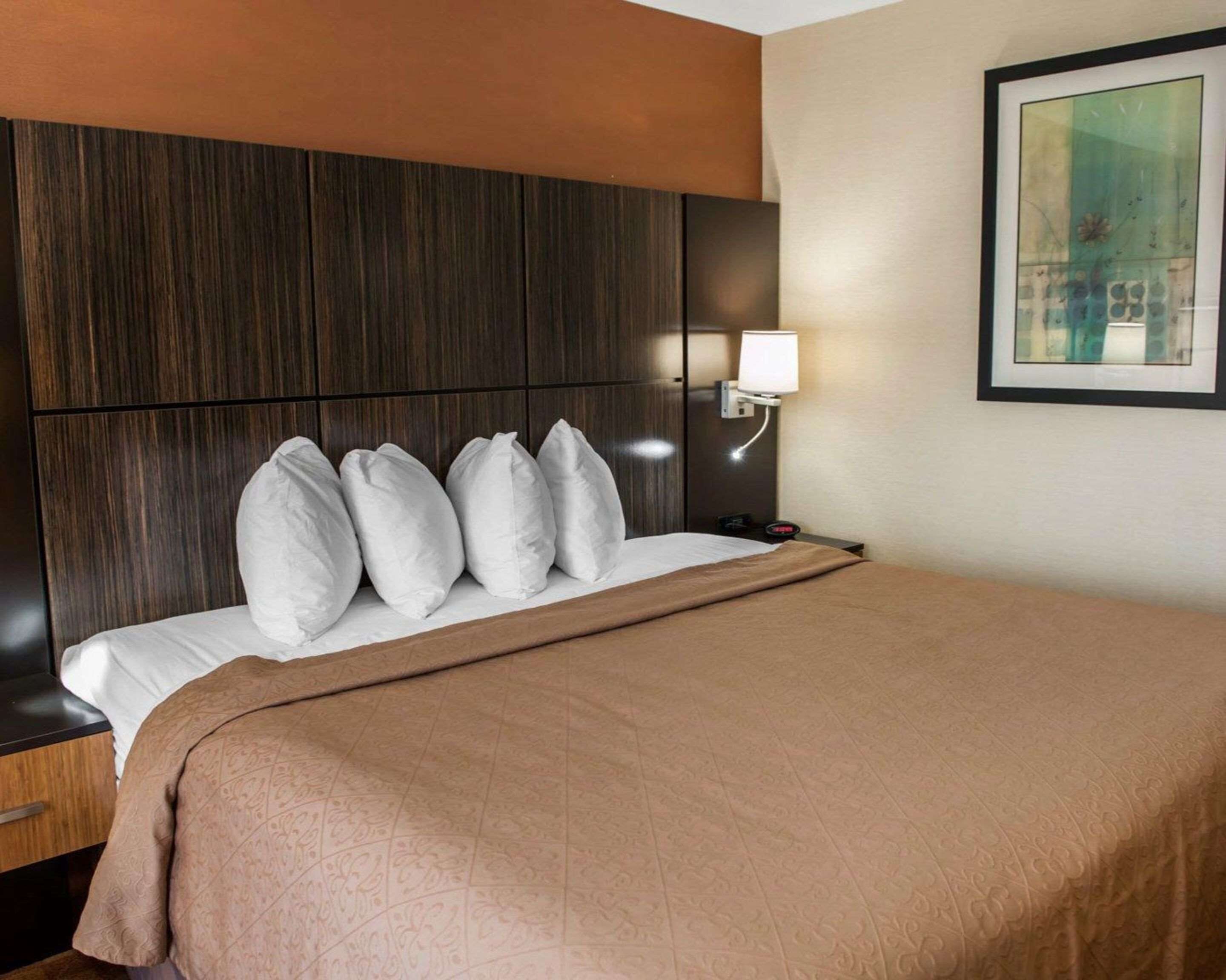 Habitación de hotel con una cama grande, cabecera, mesita de noche, lámpara y un cuadro en la pared.