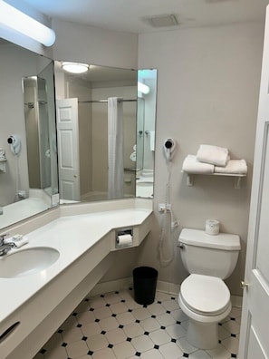 Combined shower/tub, free toiletries, hair dryer, towels - La Quinta Inn & Suites by Wyndham Albuquerque West (Albuquerque)