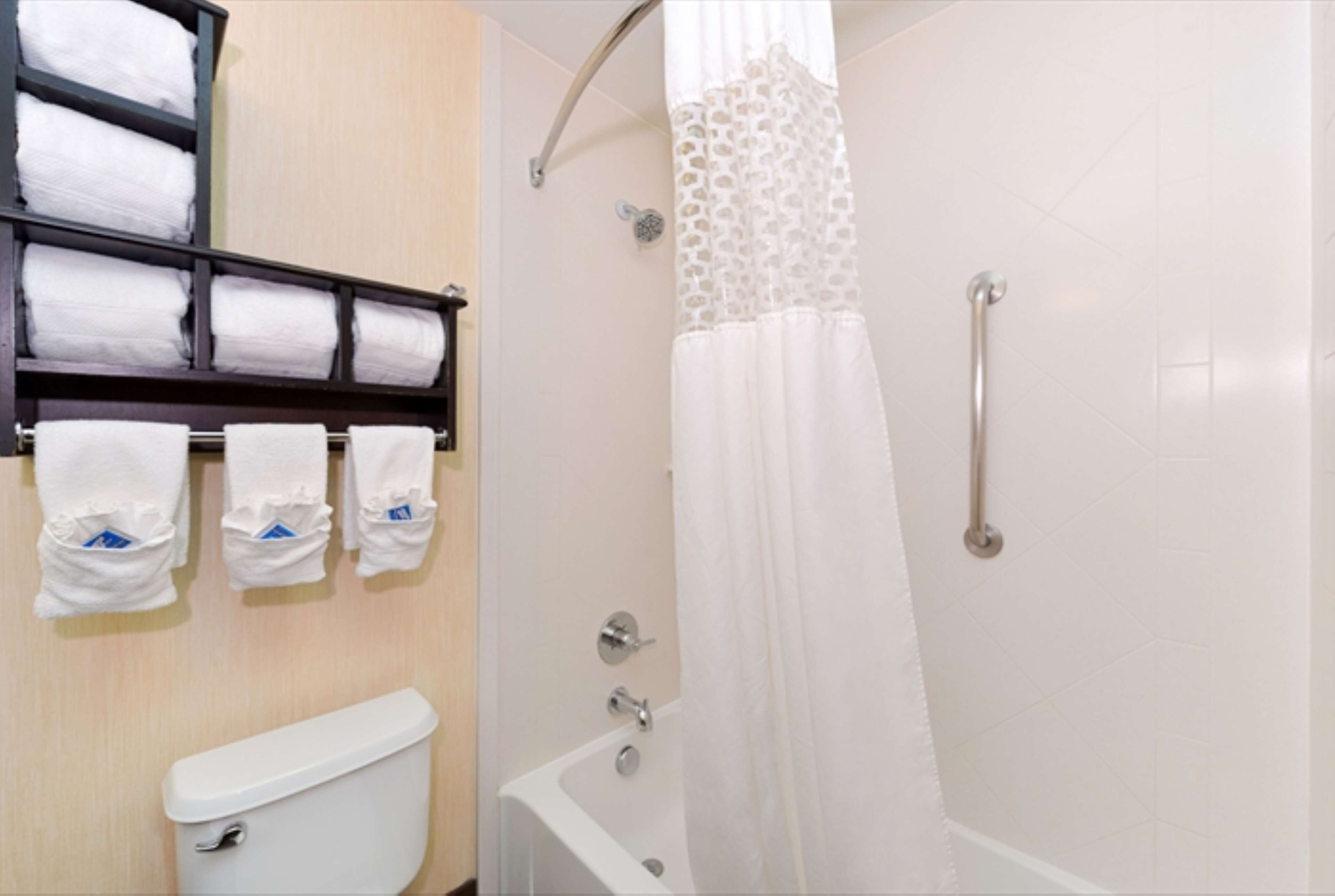combined shower/bathtub, free toiletries, hair dryer, towels