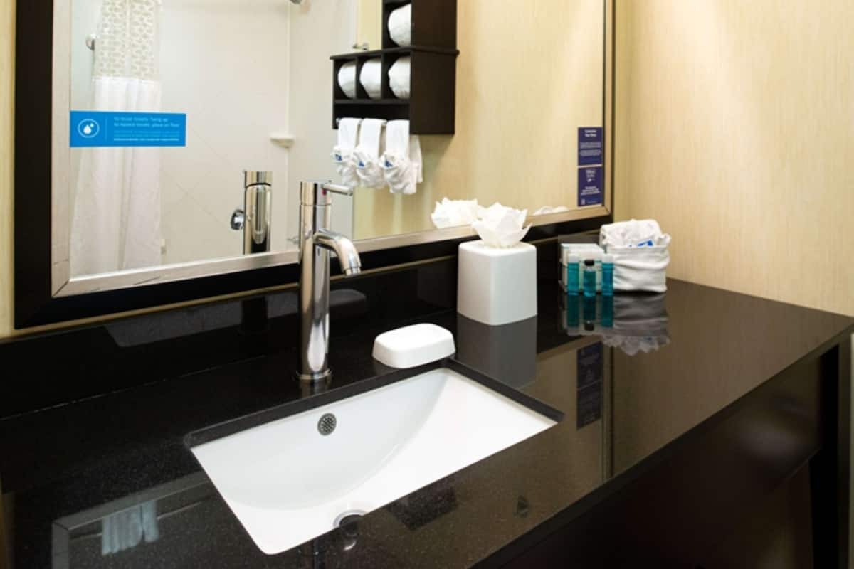 combined shower/bathtub, free toiletries, hair dryer, towels