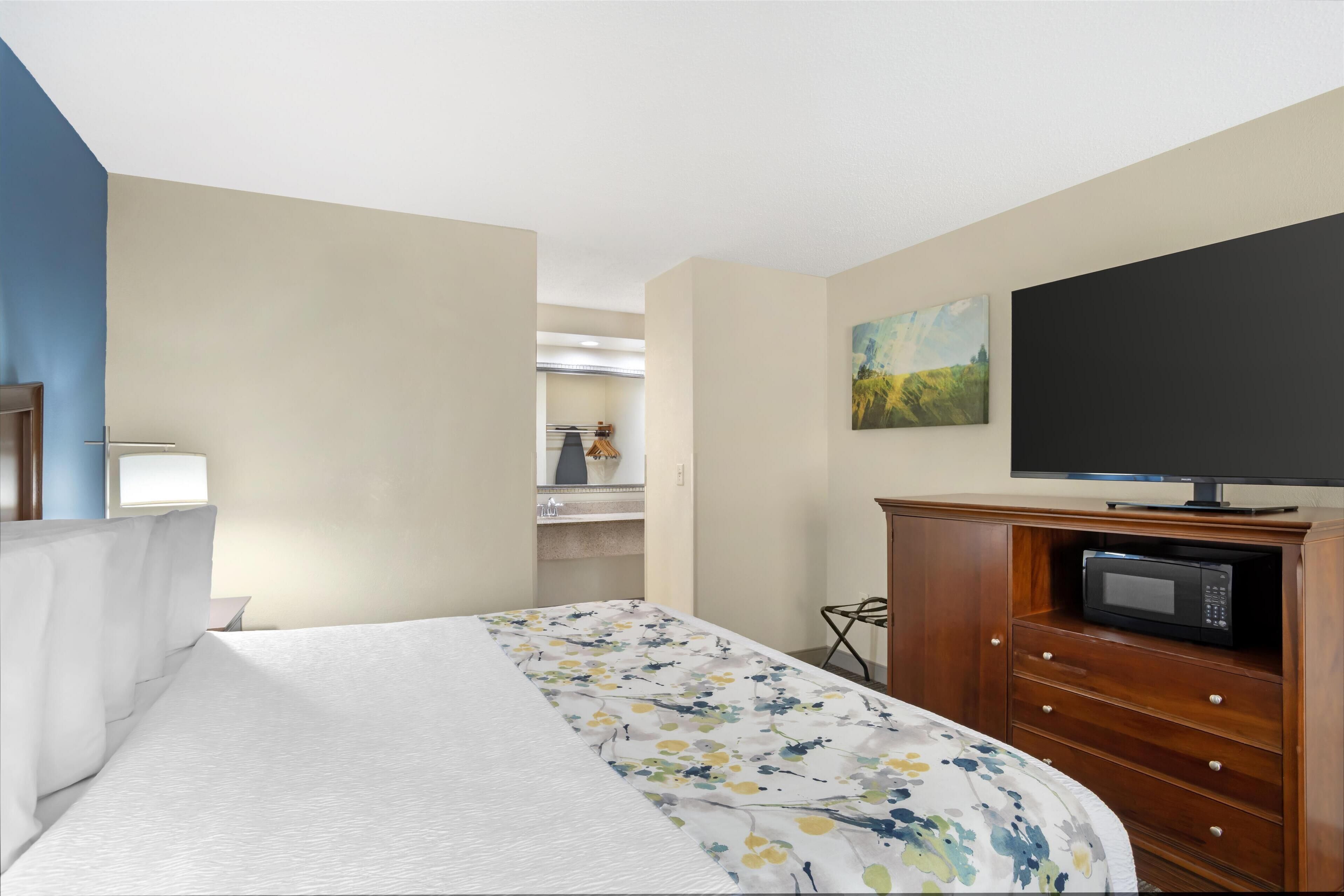 A hotel room with a bed, a television, a microwave, and a small kitchenette.