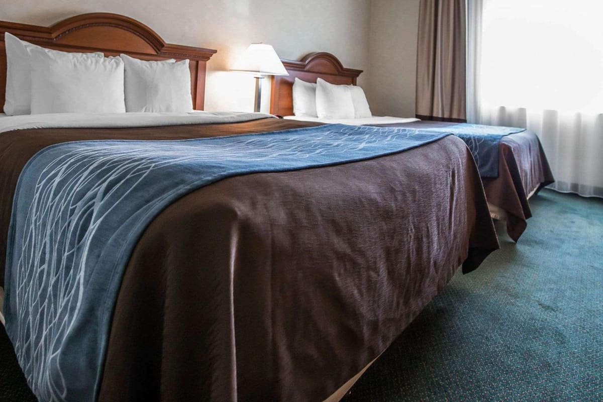 A hotel room with two beds, each with a wooden headboard, white pillows, and a blue and brown bedspread. There is a lamp on each nightstand, and a window with curtains.