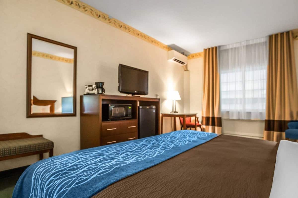 standard room, 1 king bed, non smoking | desk, iron/ironing board, free cots/infant beds, rollaway beds