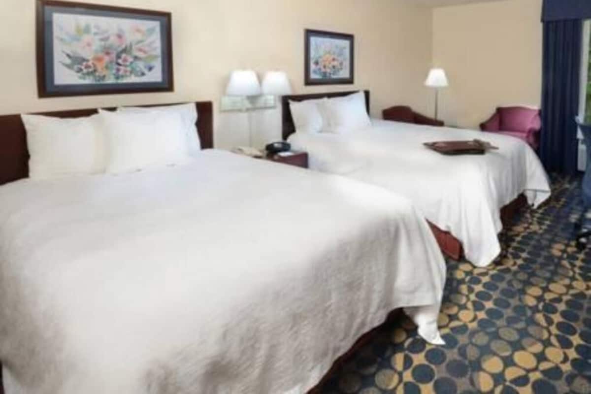 Premium bedding, desk, laptop workspace, blackout curtains