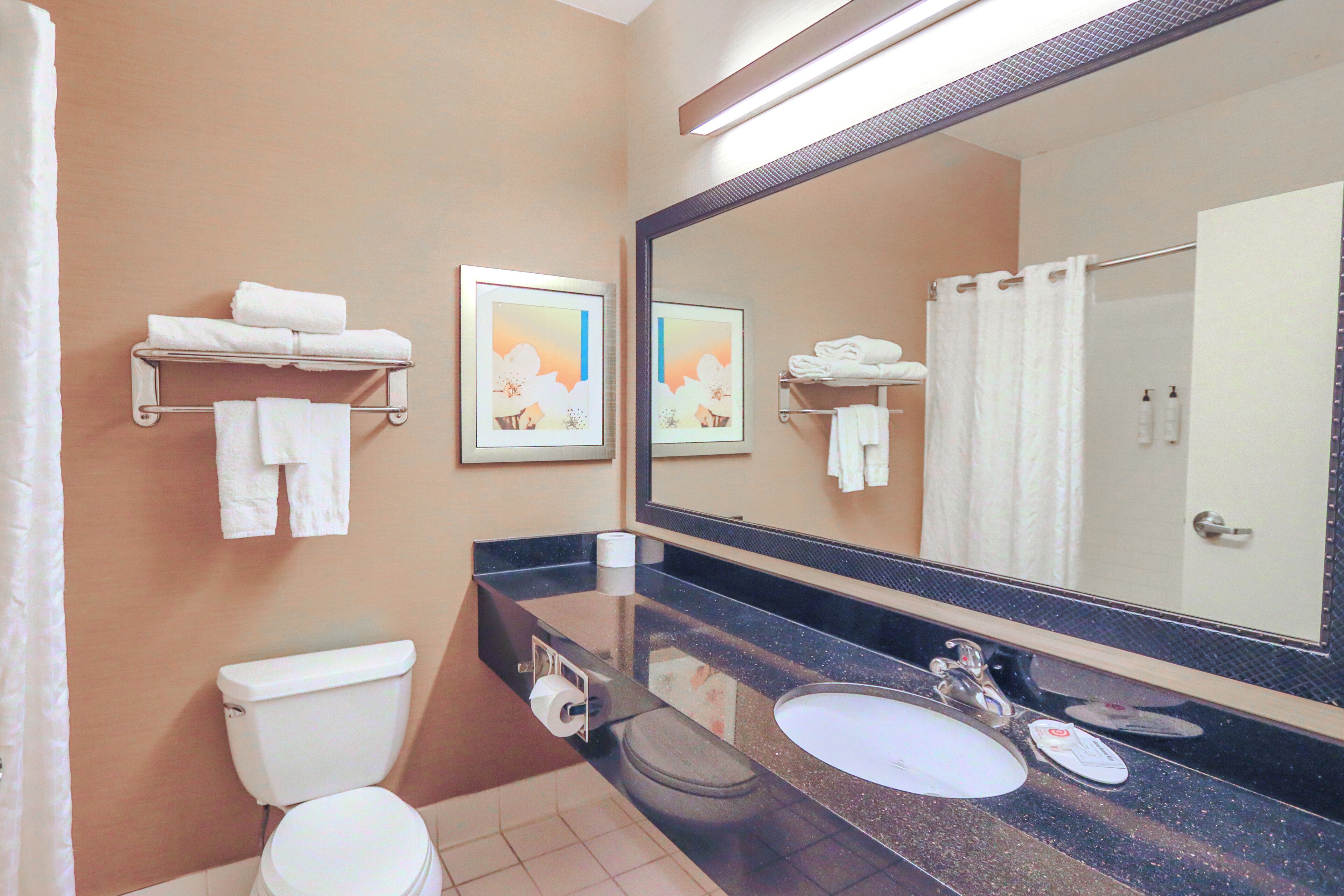 combined shower/bathtub, free toiletries, hair dryer, towels