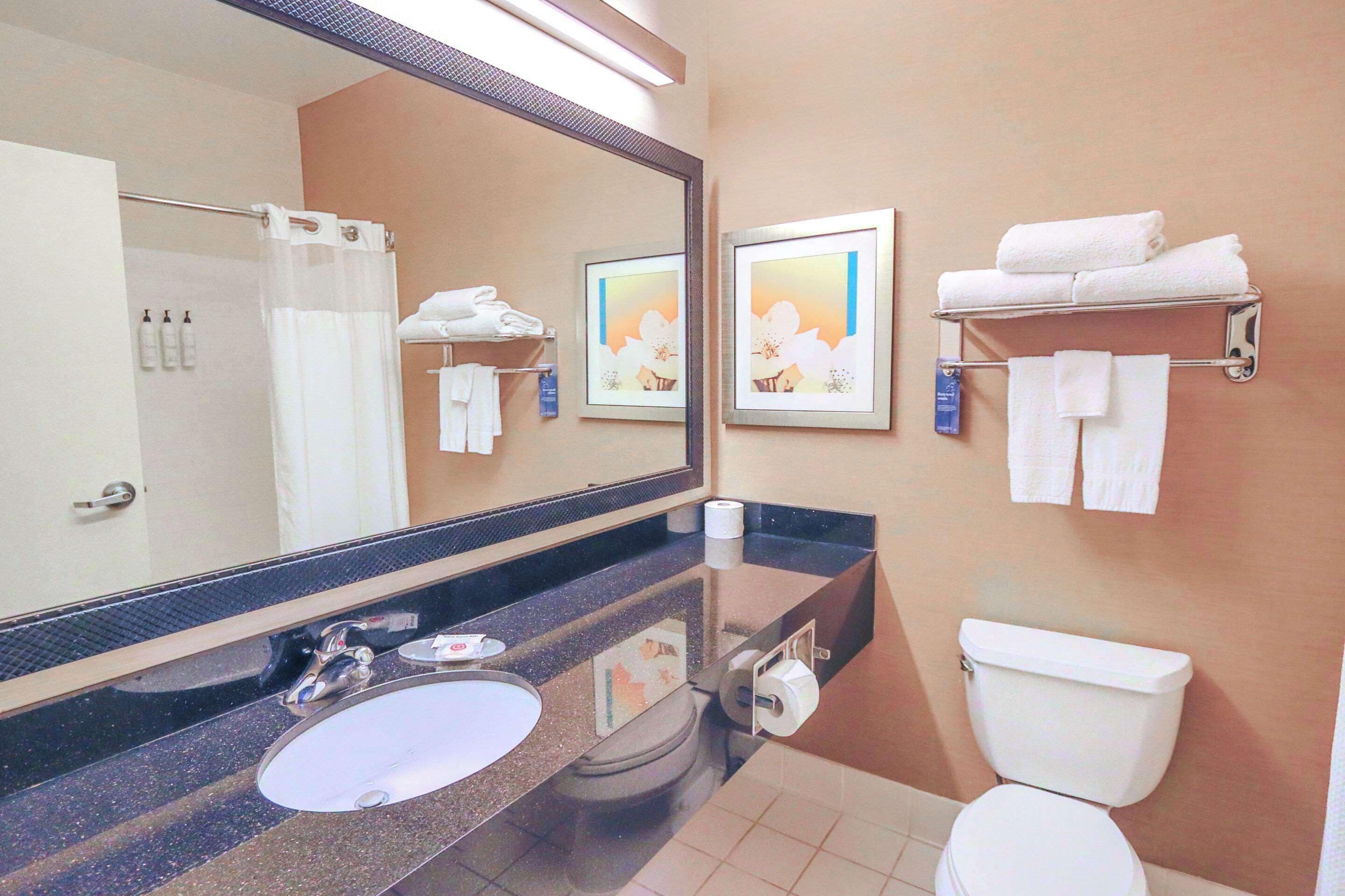suite, 1 king bed, non smoking | bathroom | combined shower/bathtub, free toiletries, hair dryer, towels