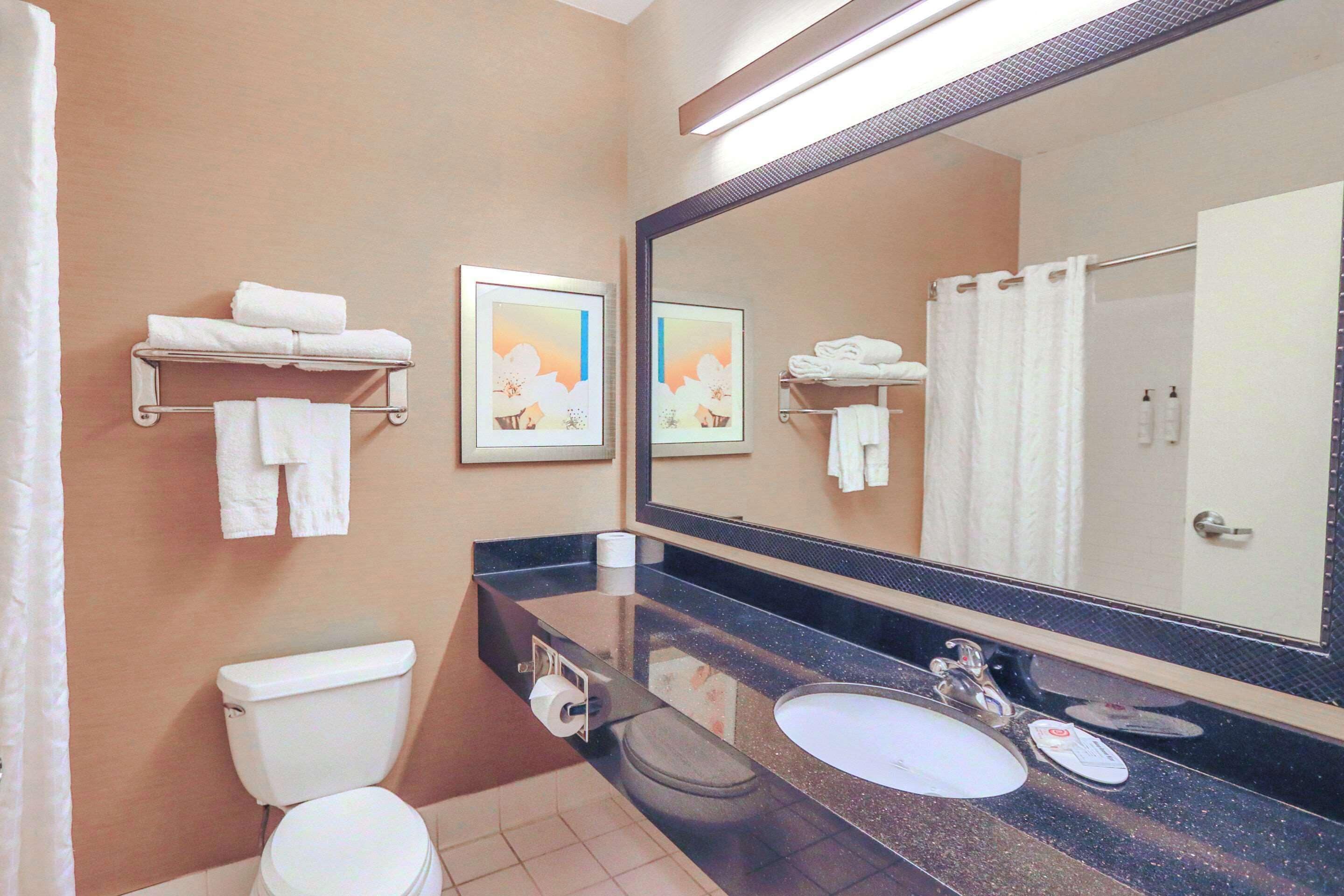 Foto - Comfort Inn & Suites Houston North - Spring