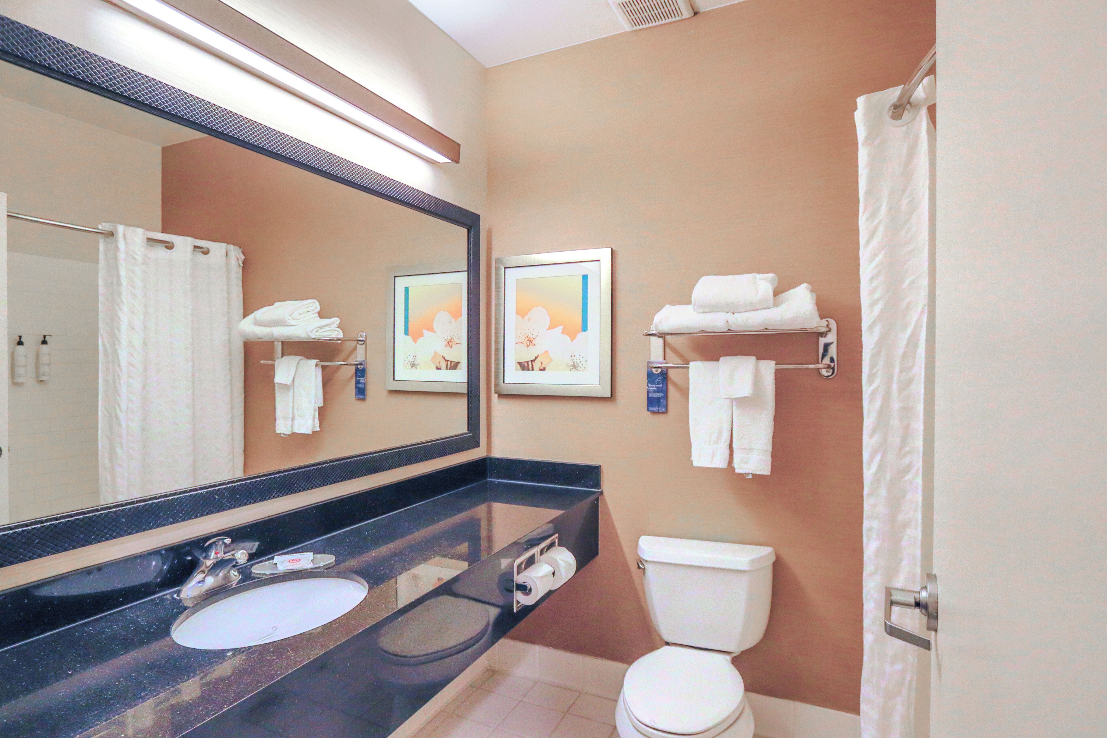 combined shower/bathtub, free toiletries, hair dryer, towels