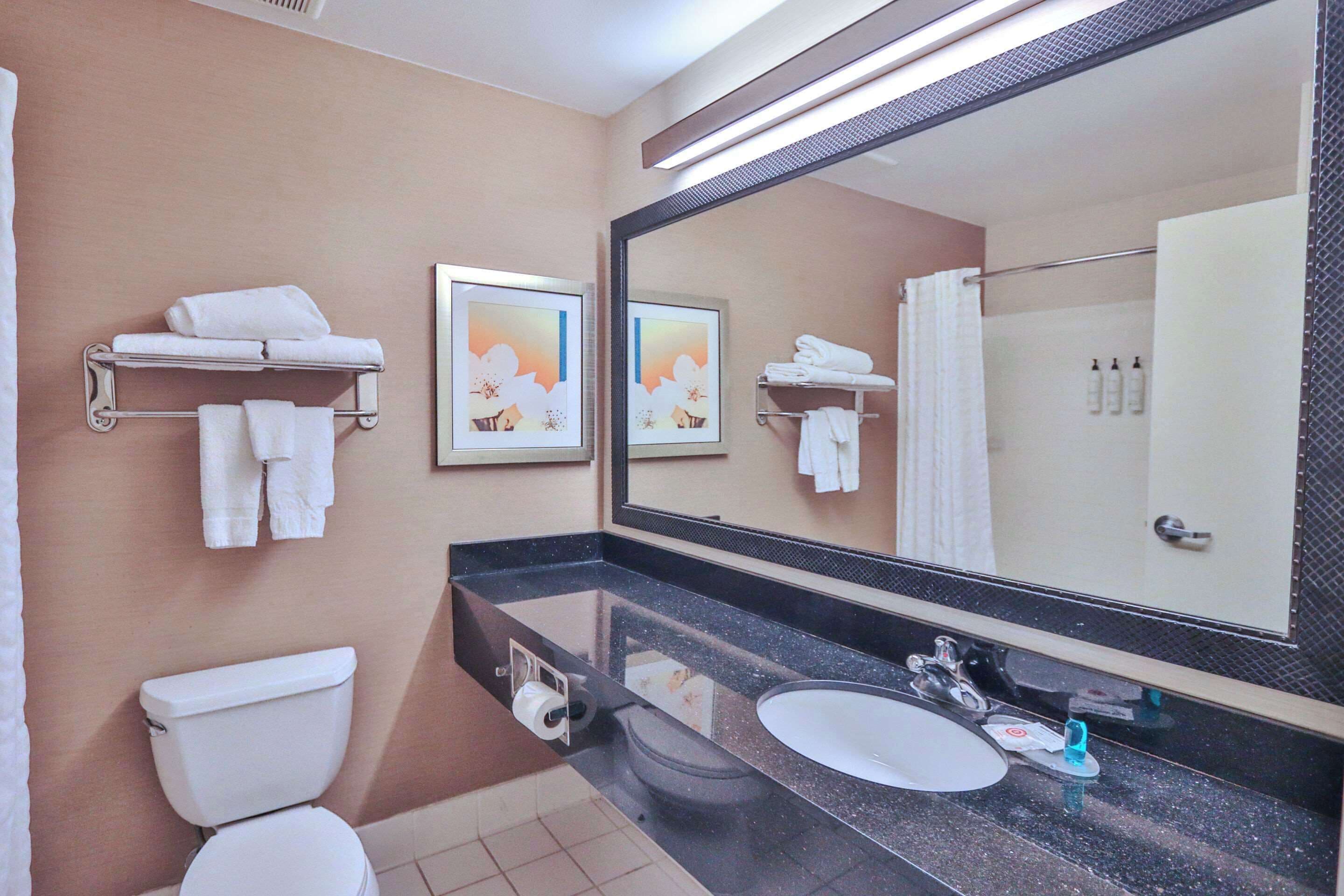 Foto - Comfort Inn & Suites Houston North - Spring