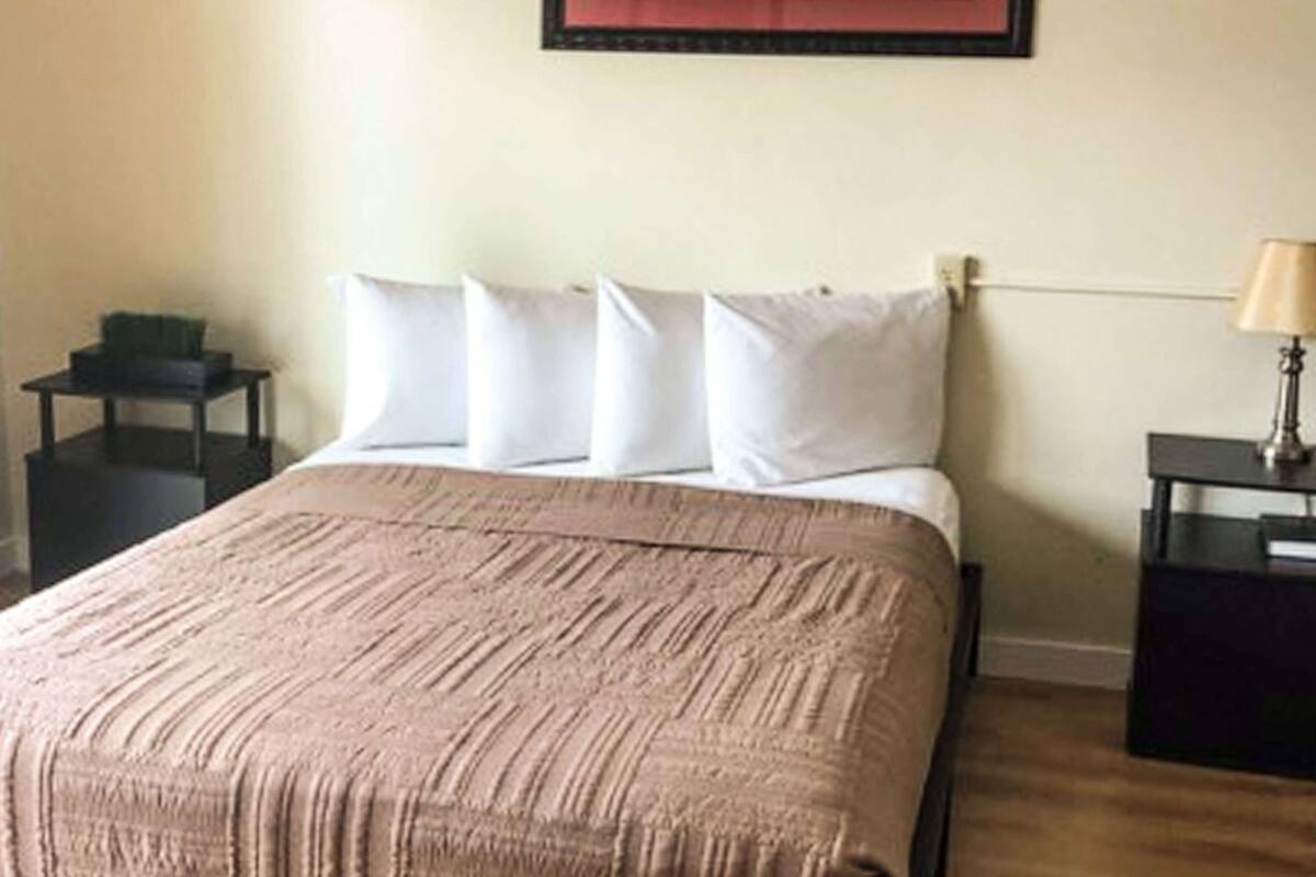 Une chambre à coucher avec un lit, des oreillers, une table de chevet, une lampe et une petite table sur laquelle est posée une plante.