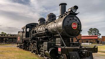 A historic steam locomotive numbered 223 at a railway museum.