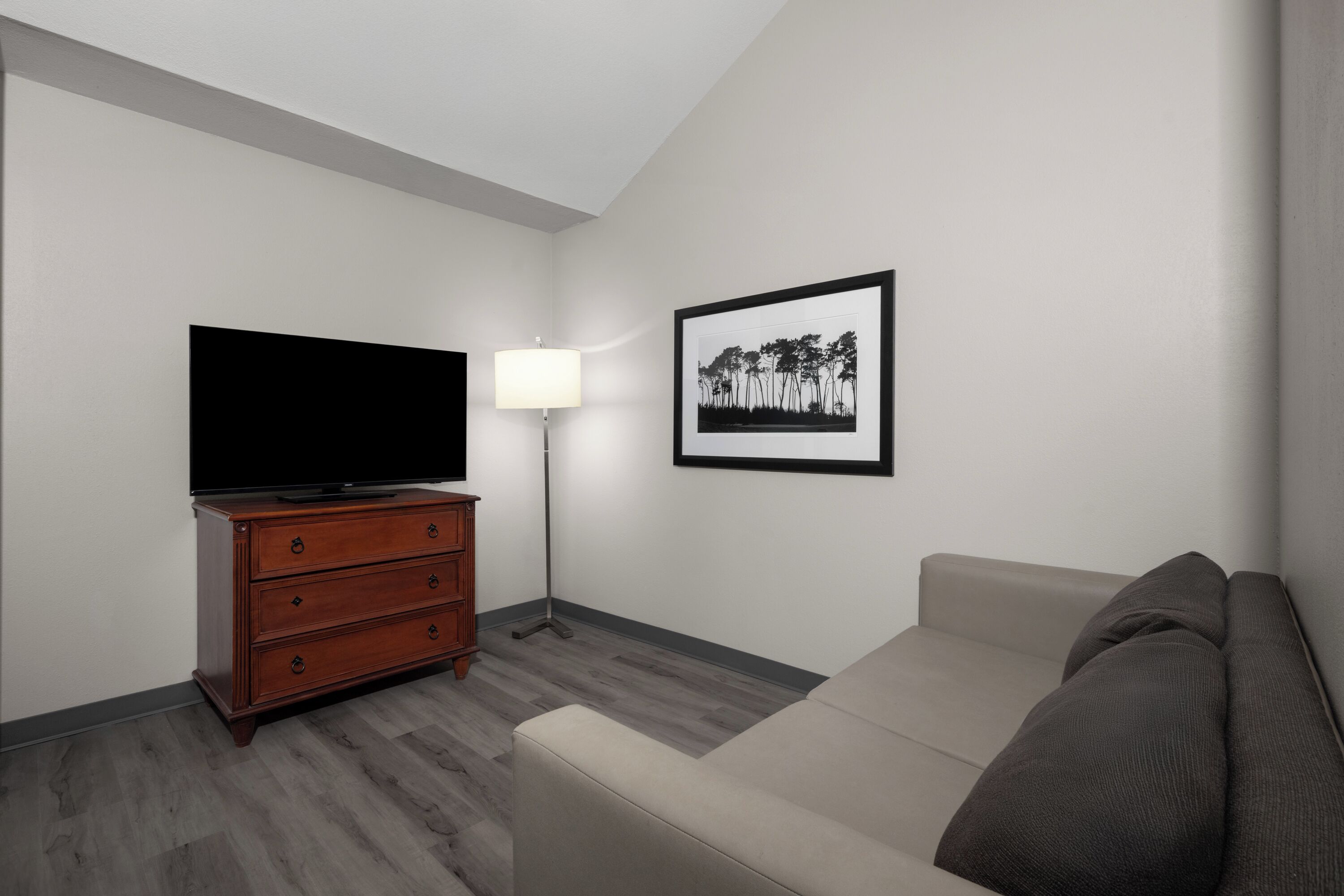 A modern living room with a flat-screen TV, a wooden dresser, a floor lamp, a framed picture on the wall, and a beige sofa.
