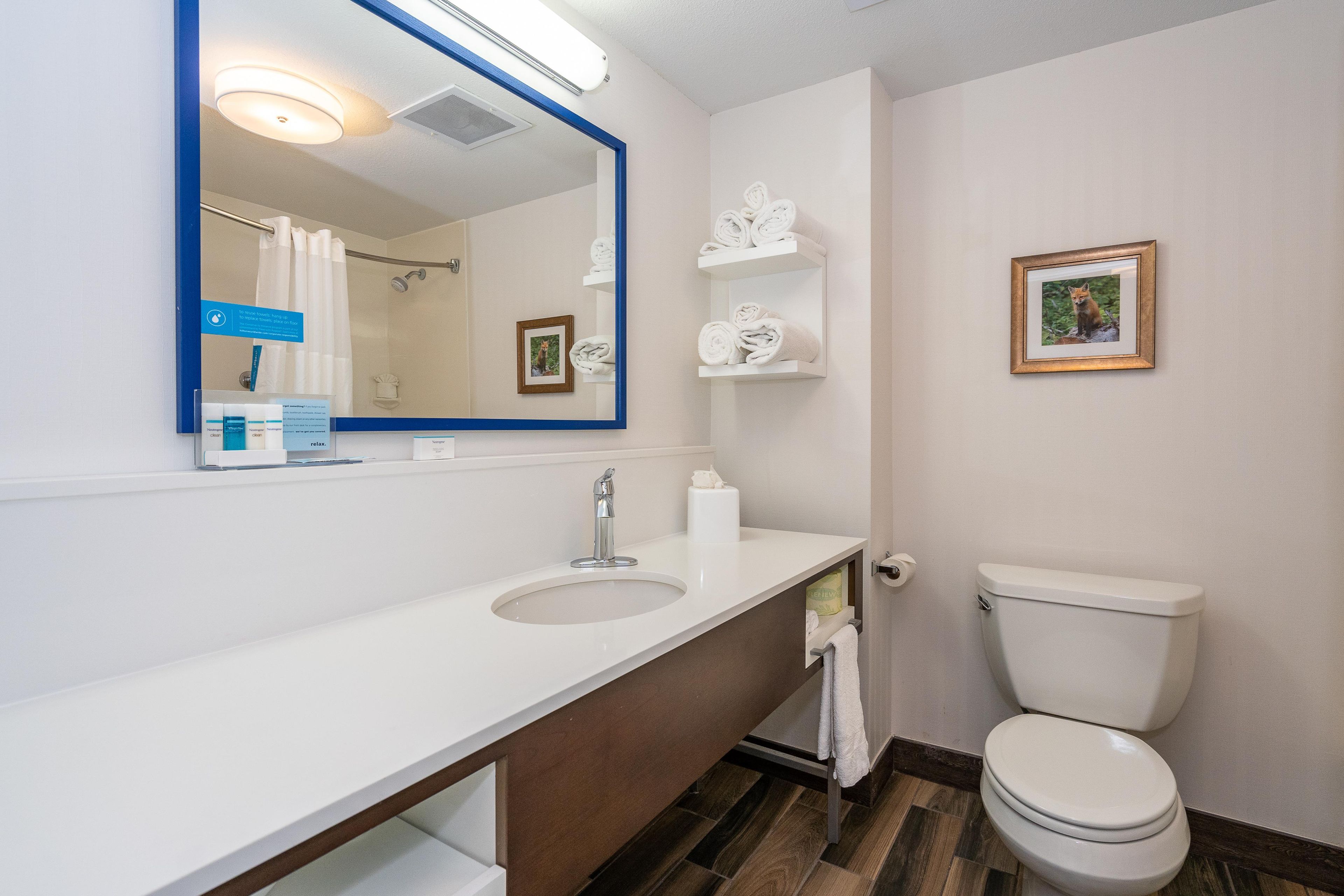 Un baño con lavamanos, espejo, inodoro y toalleros.