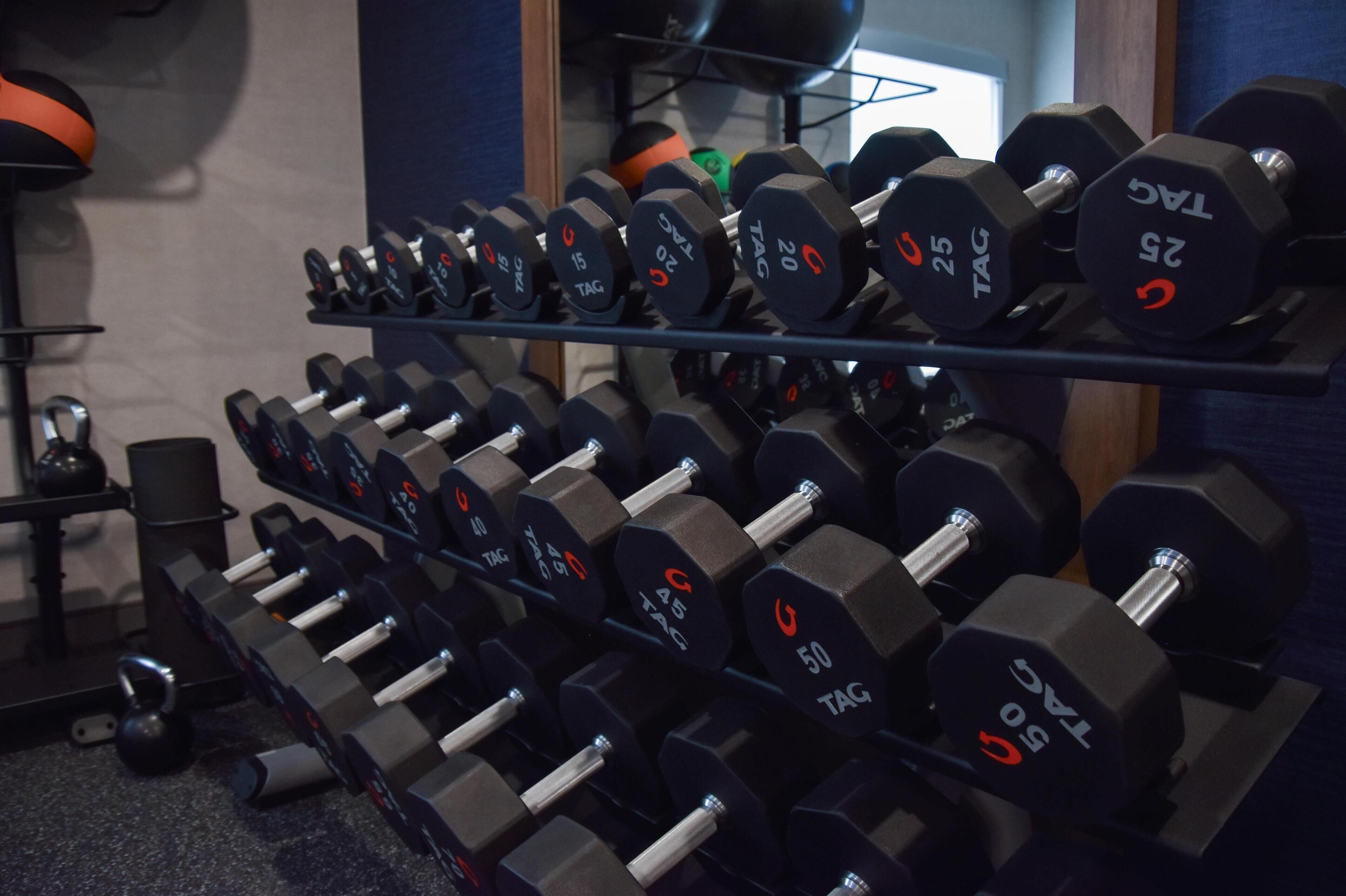 A rack of dumbbells with weights ranging from 5 to 50 kilograms.