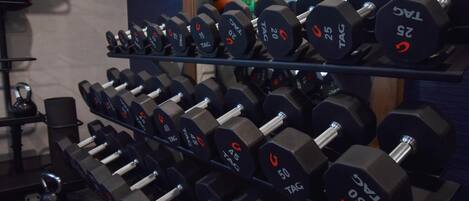 A rack of dumbbells with weights ranging from 5 to 50 kilograms.