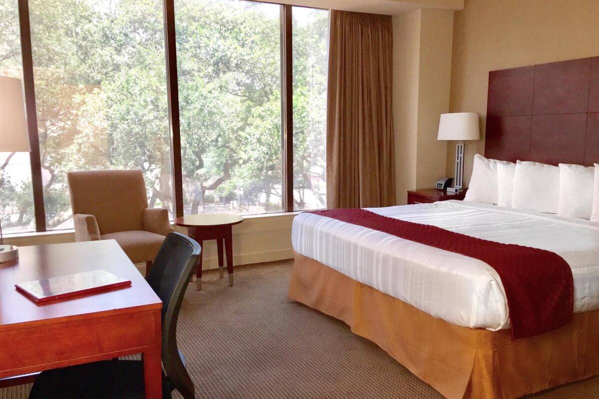 A hotel room with a bed, a desk, a chair, a nightstand, and a window with a view of trees.