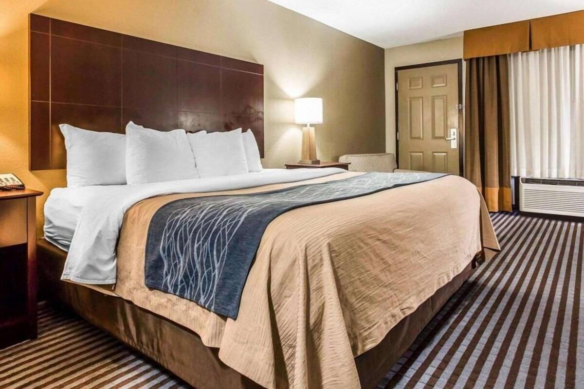 A hotel room with a bed, bedside table, lamp, and a view of the outside through a window.