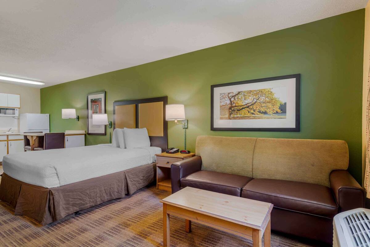 Habitación de hotel con una cama, sofá, escritorio con lámpara, silla y un cuadro en la pared.