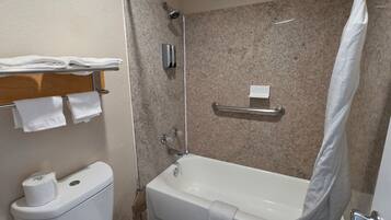 A bathroom with a toilet, a shower, and a bathtub.