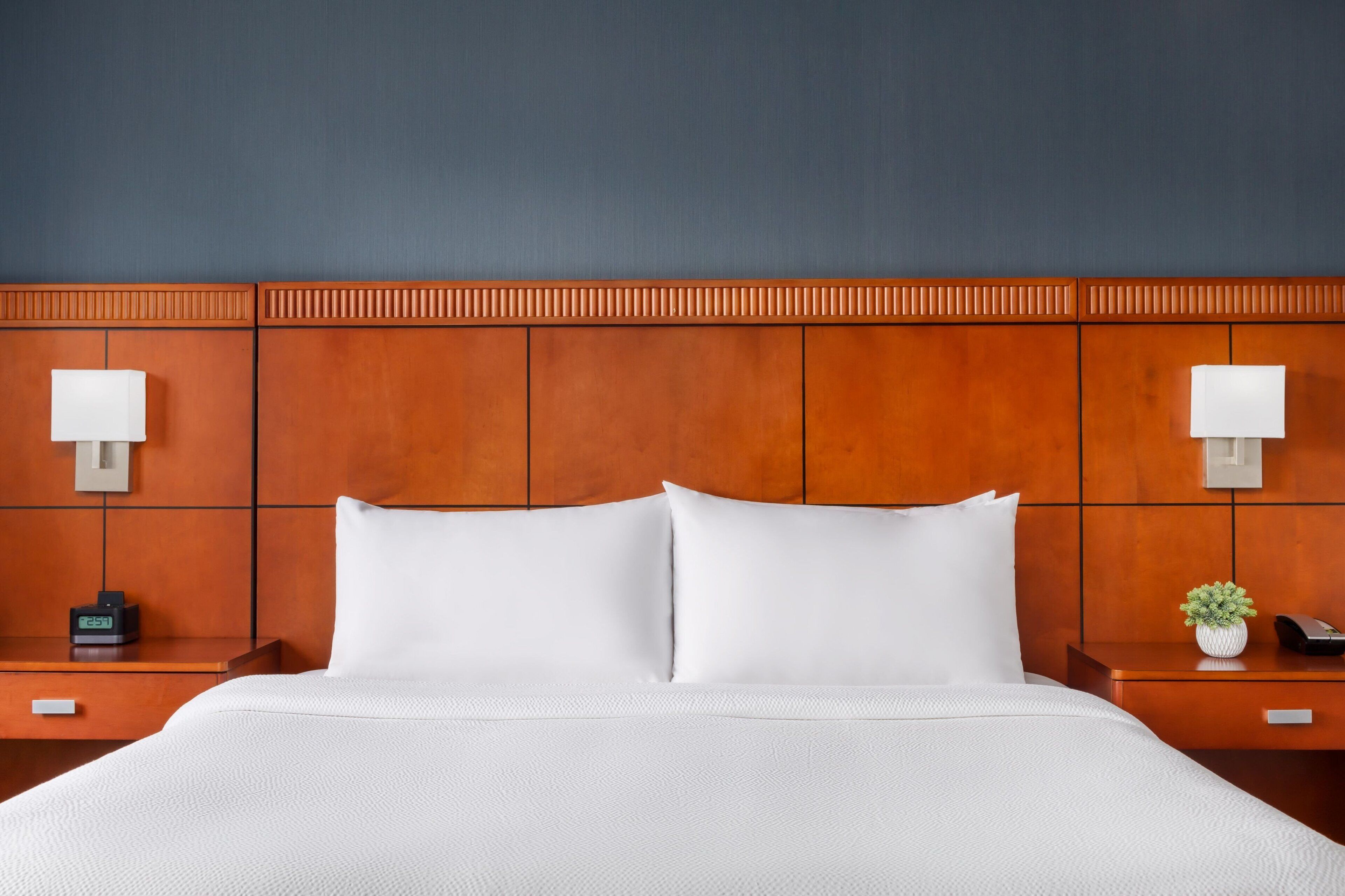 A hotel room with a large bed, two bedside tables, a nightstand with a lamp, a small plant, and a wall clock.