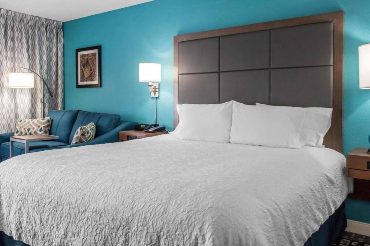 A hotel room with a large bed, a blue wall, a patterned curtain, a sofa, and a nightstand with a lamp.