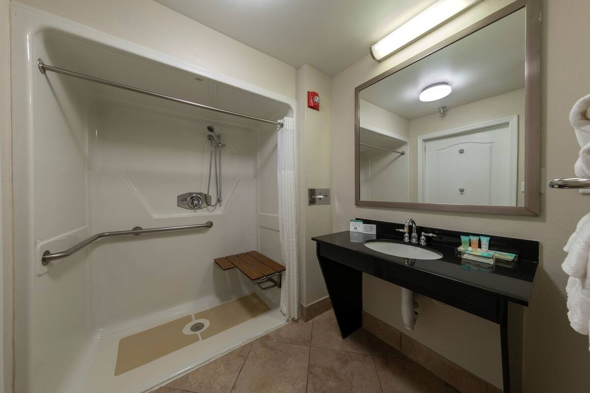 standard room, 1 king bed, accessible | bathroom | free toiletries, hair dryer, towels, soap