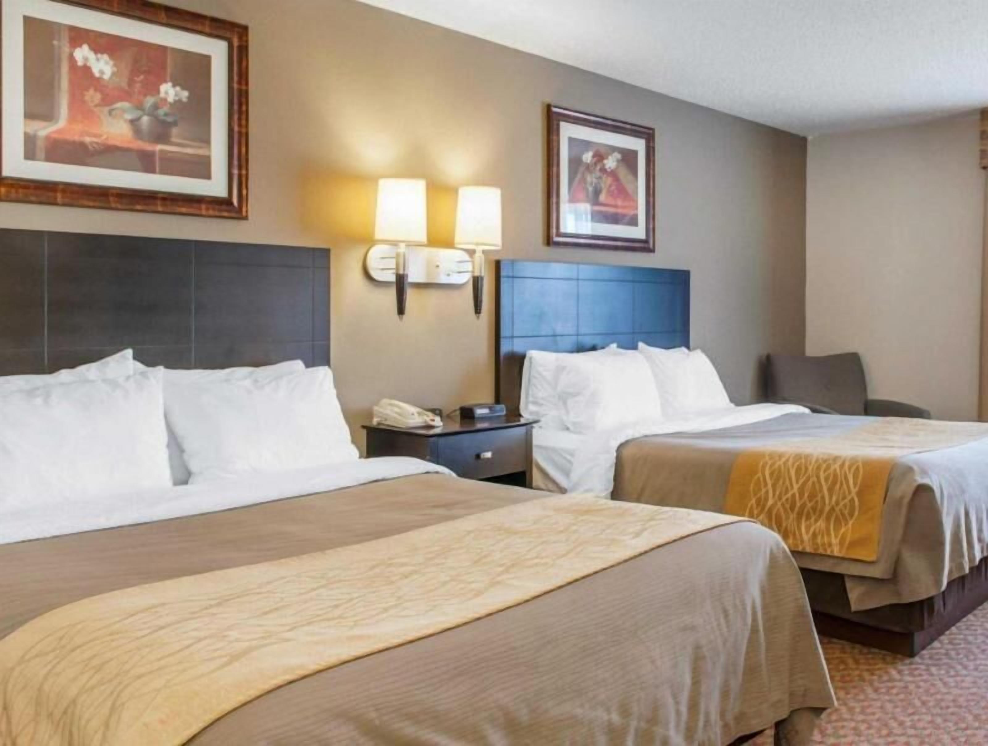 책상, 다리미/다리미판, 유아용 침대, 간이 침대