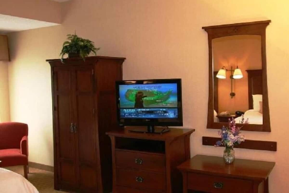 A hotel room with a television on a wooden stand, a mirror above it, a red chair, a wooden dresser, and a vase with flowers.