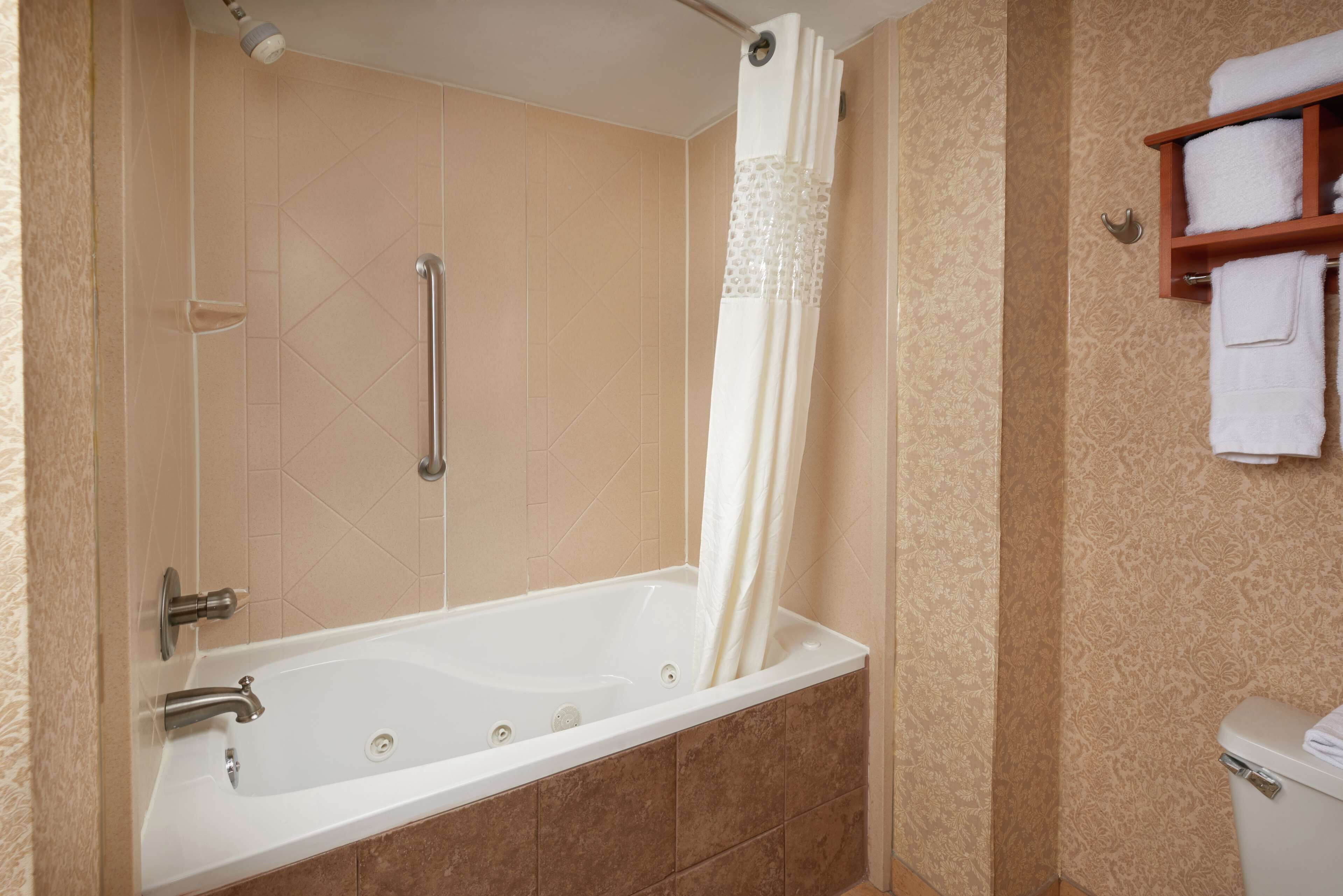 combined shower/bathtub, free toiletries, hair dryer, towels