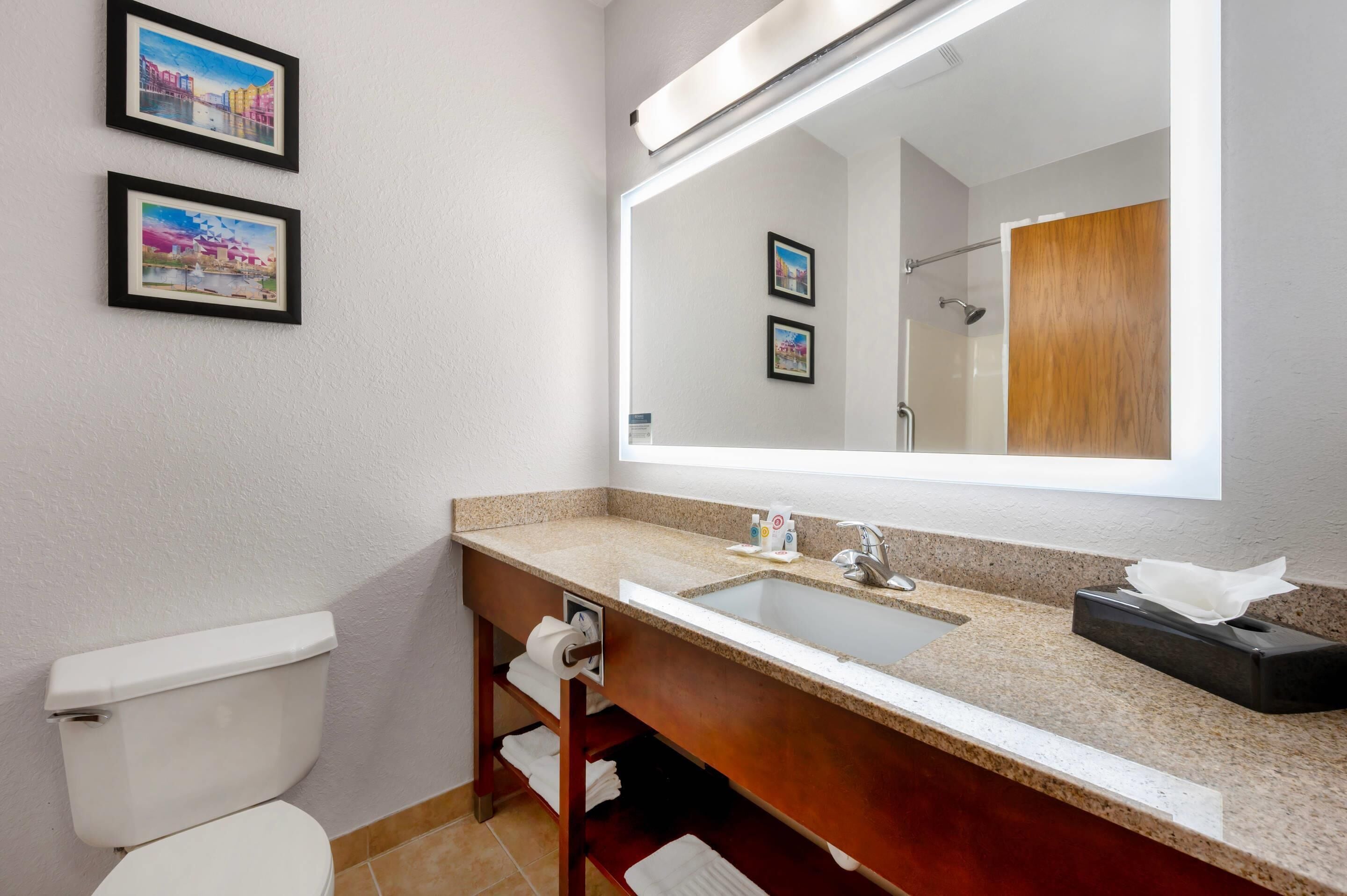 standard room, 1 king bed, non smoking | 1 bedroom, desk, iron/ironing board, free wifi