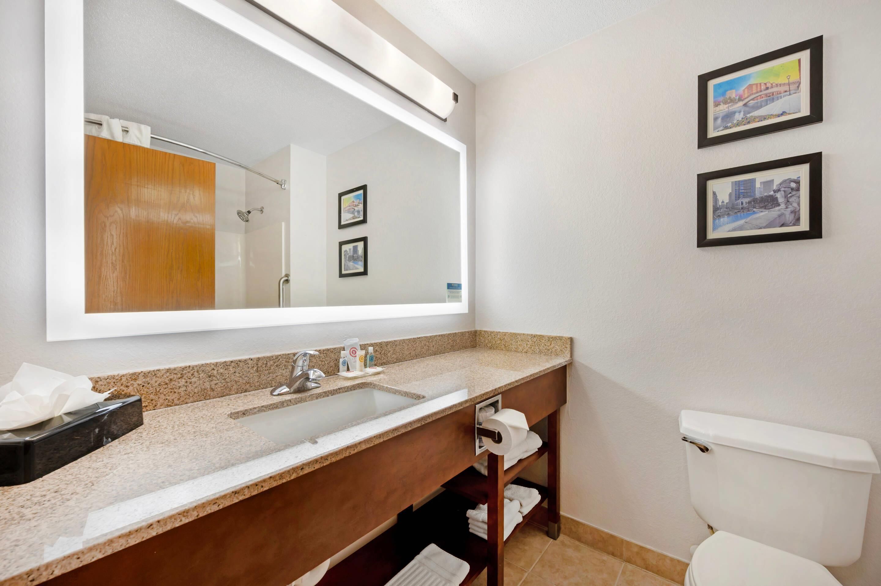 Un baño con un espejo grande, un lavabo, un inodoro y dos cuadros en la pared.